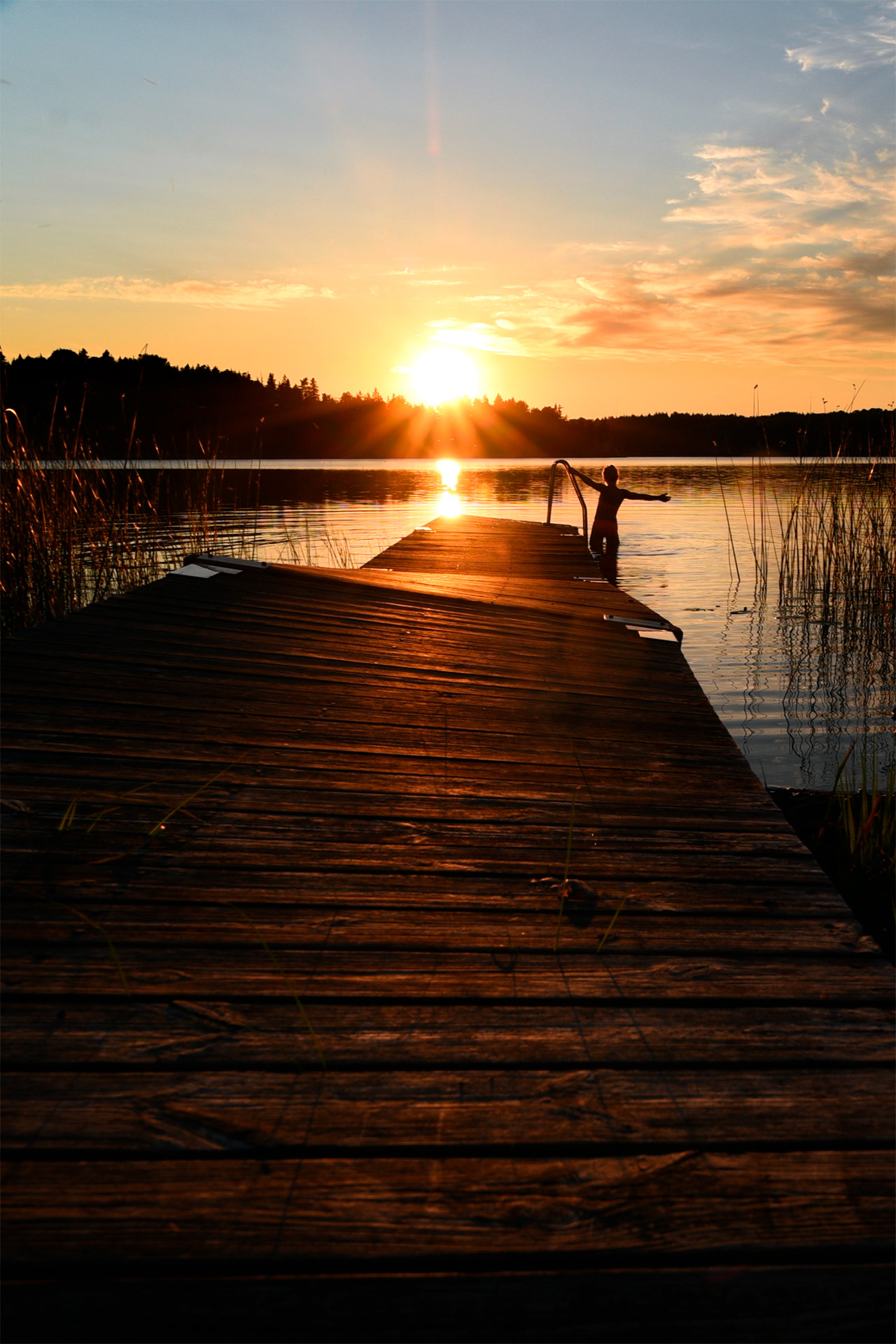 Kiatorp, Småland 2018