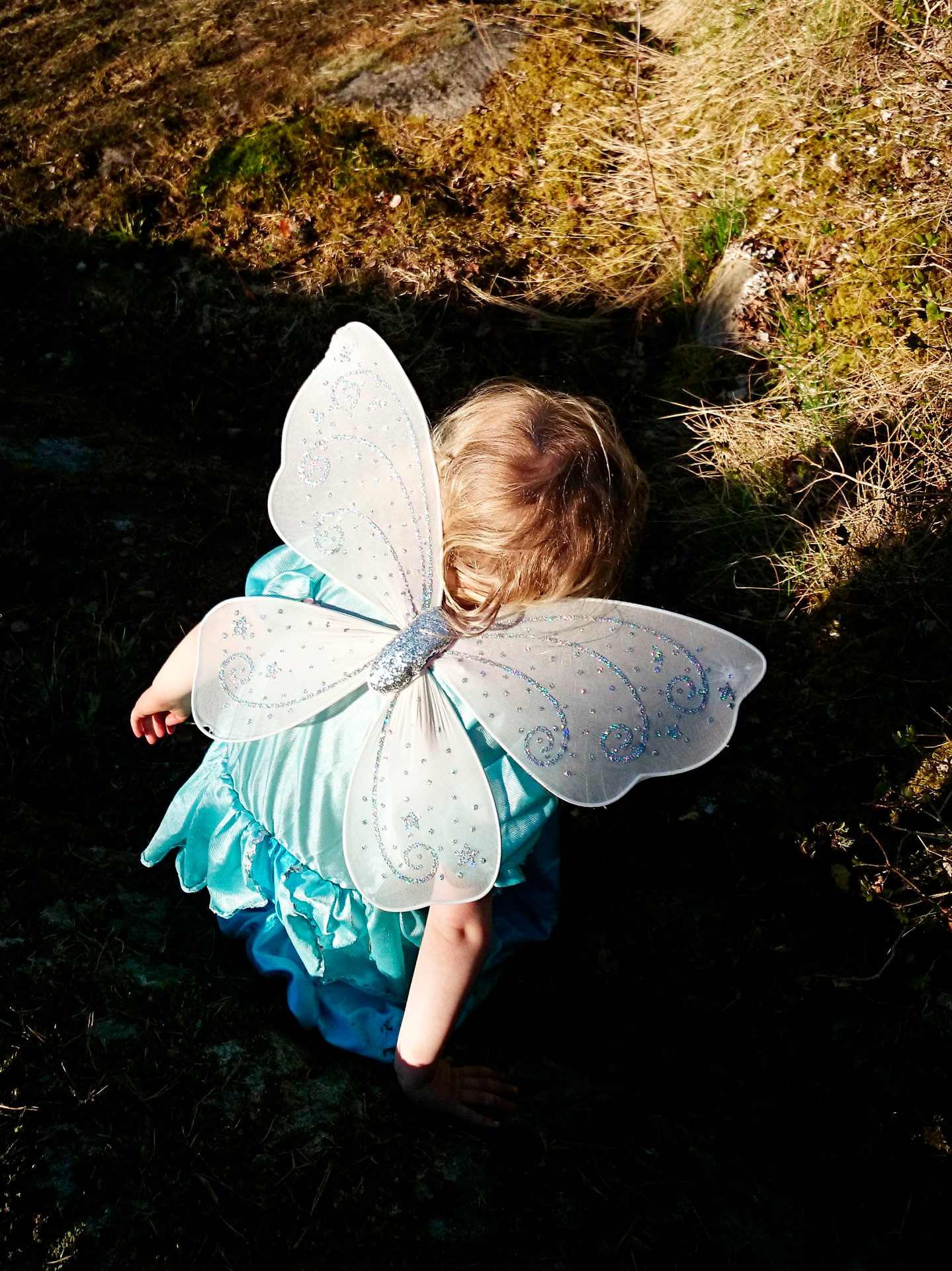 Ensjön, Norrköping 2014