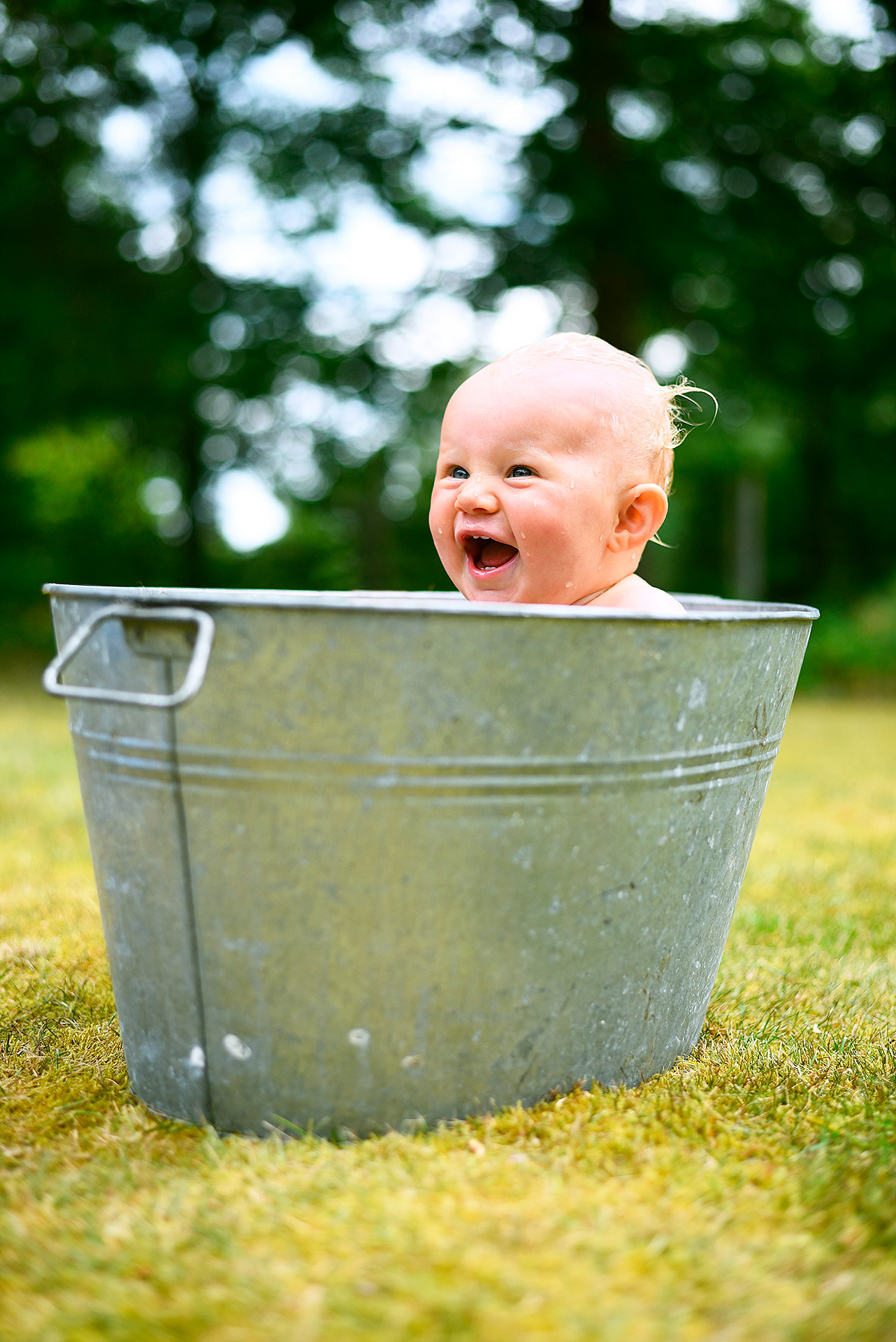 Kiatorp, Småland 2017