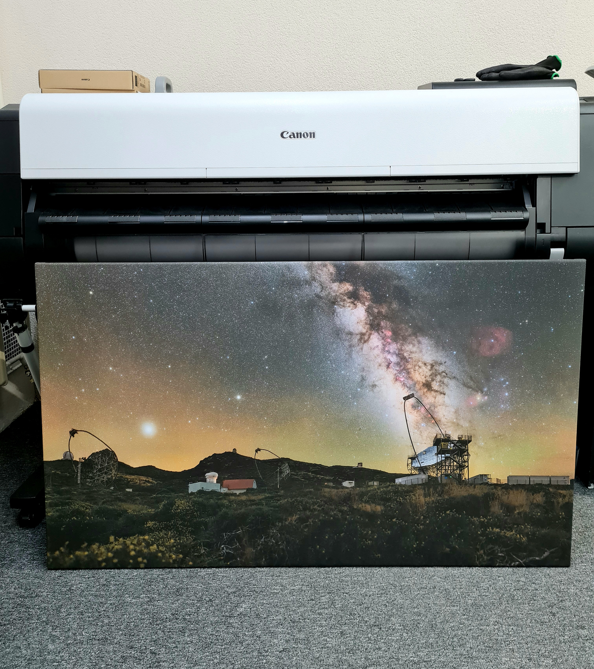 fotograf: Tomáš Slovinský