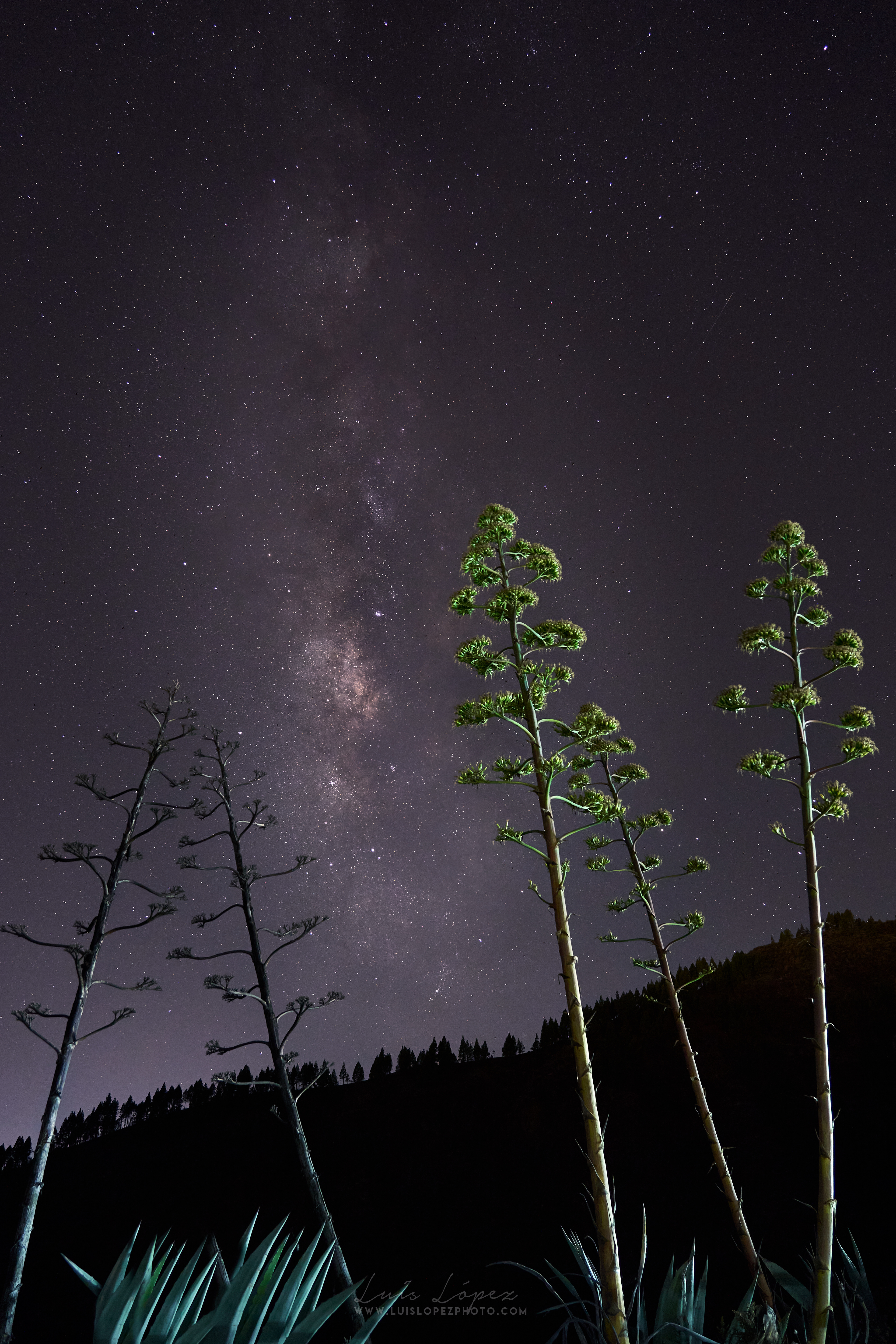 Caldera de los Marteles. Gran Canaria