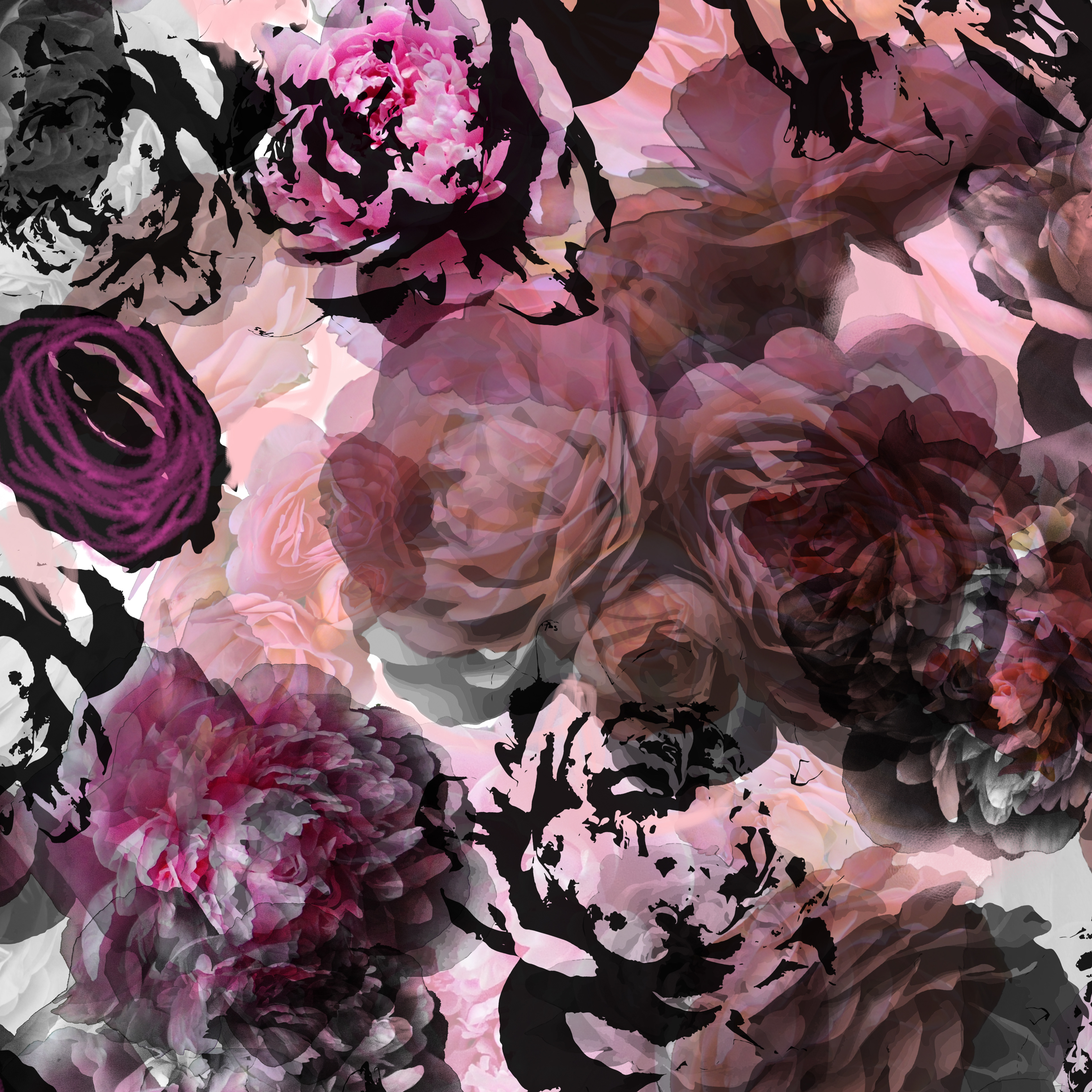 Peony