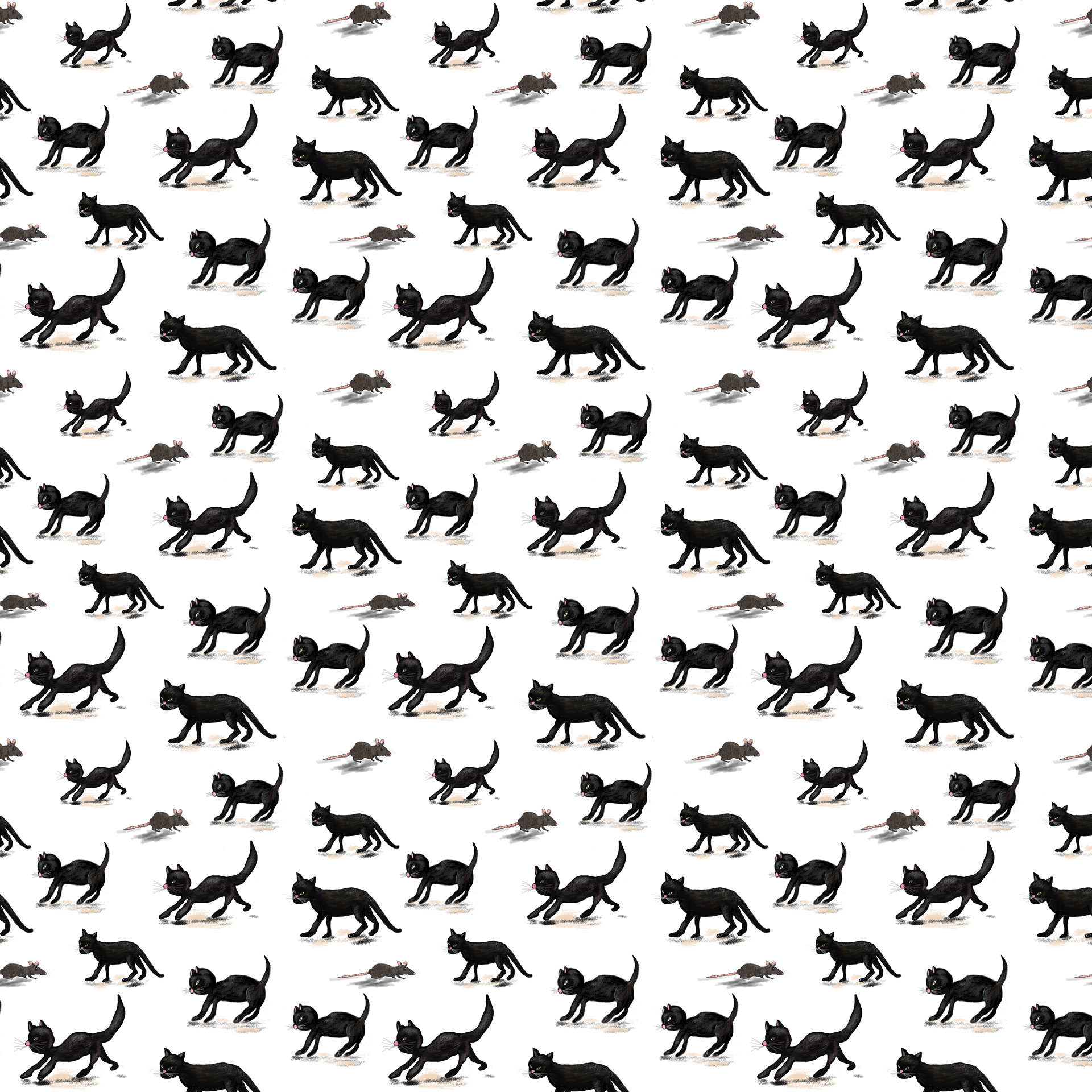 Cats