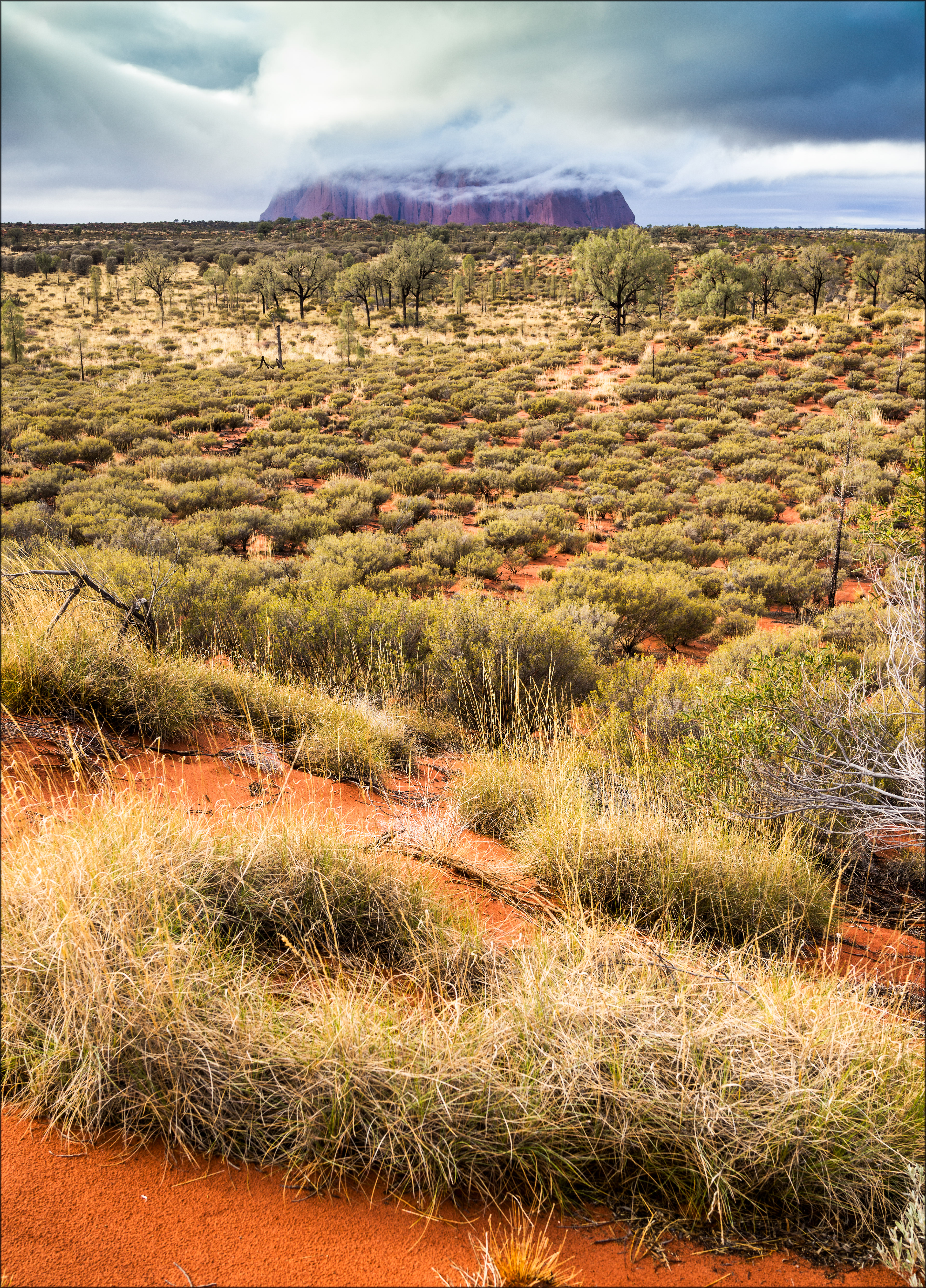 Uluru. Katabatic Cloud and Spinifex