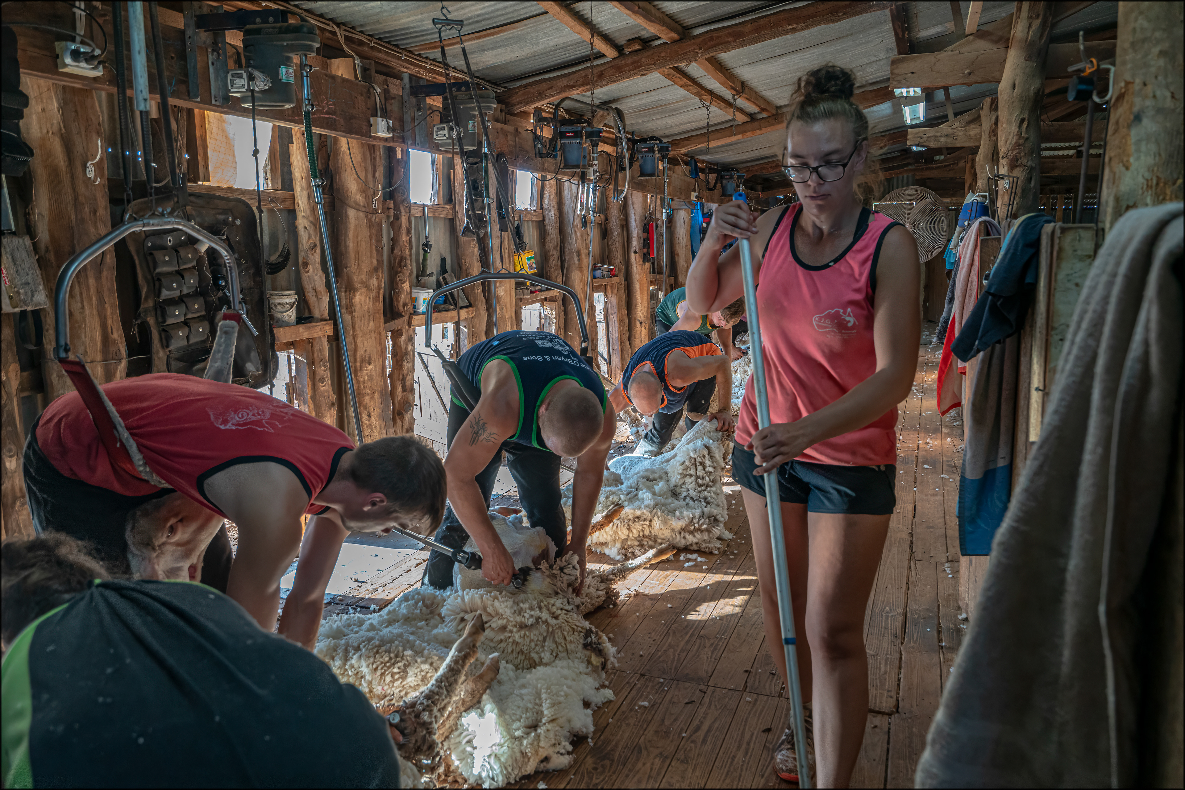 Shearing Shed 2