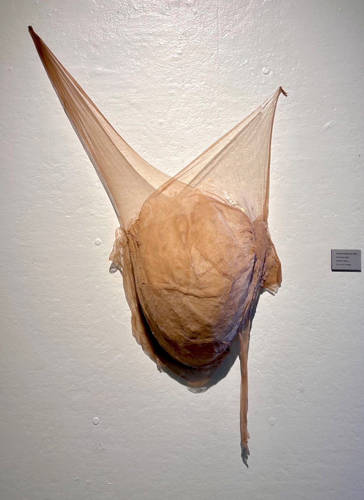 First Home, 2020, Synthetic Nylon 37 ½ x 24 x 7 inches