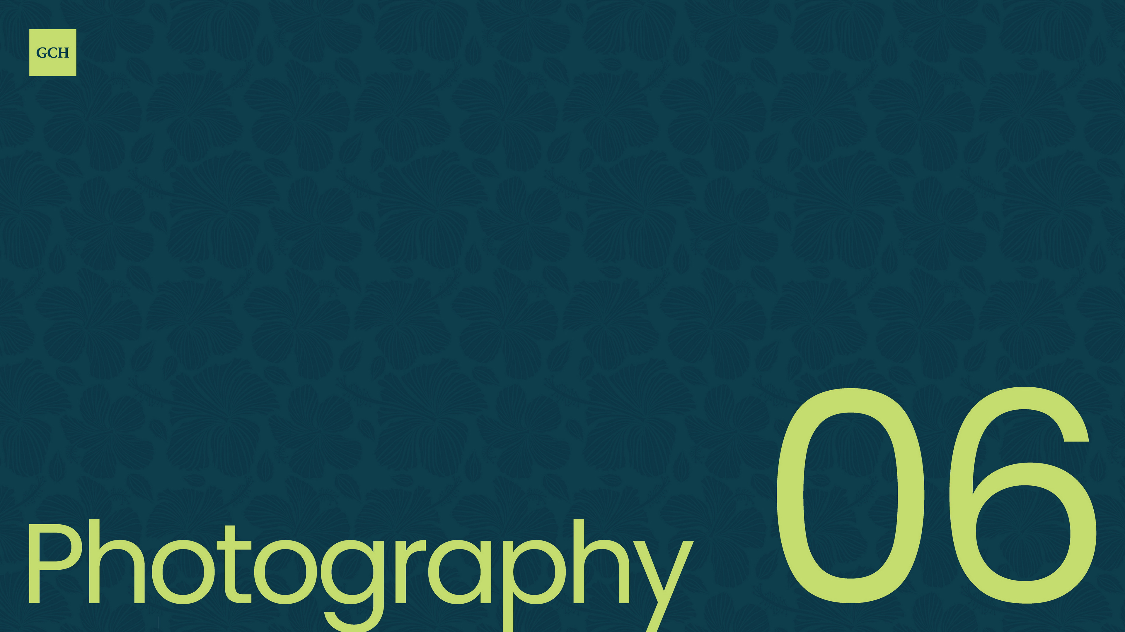 Dima Rykov Graphic Designer dimarykov.art Grand Coastal Hotel Brand Identity Guidelines