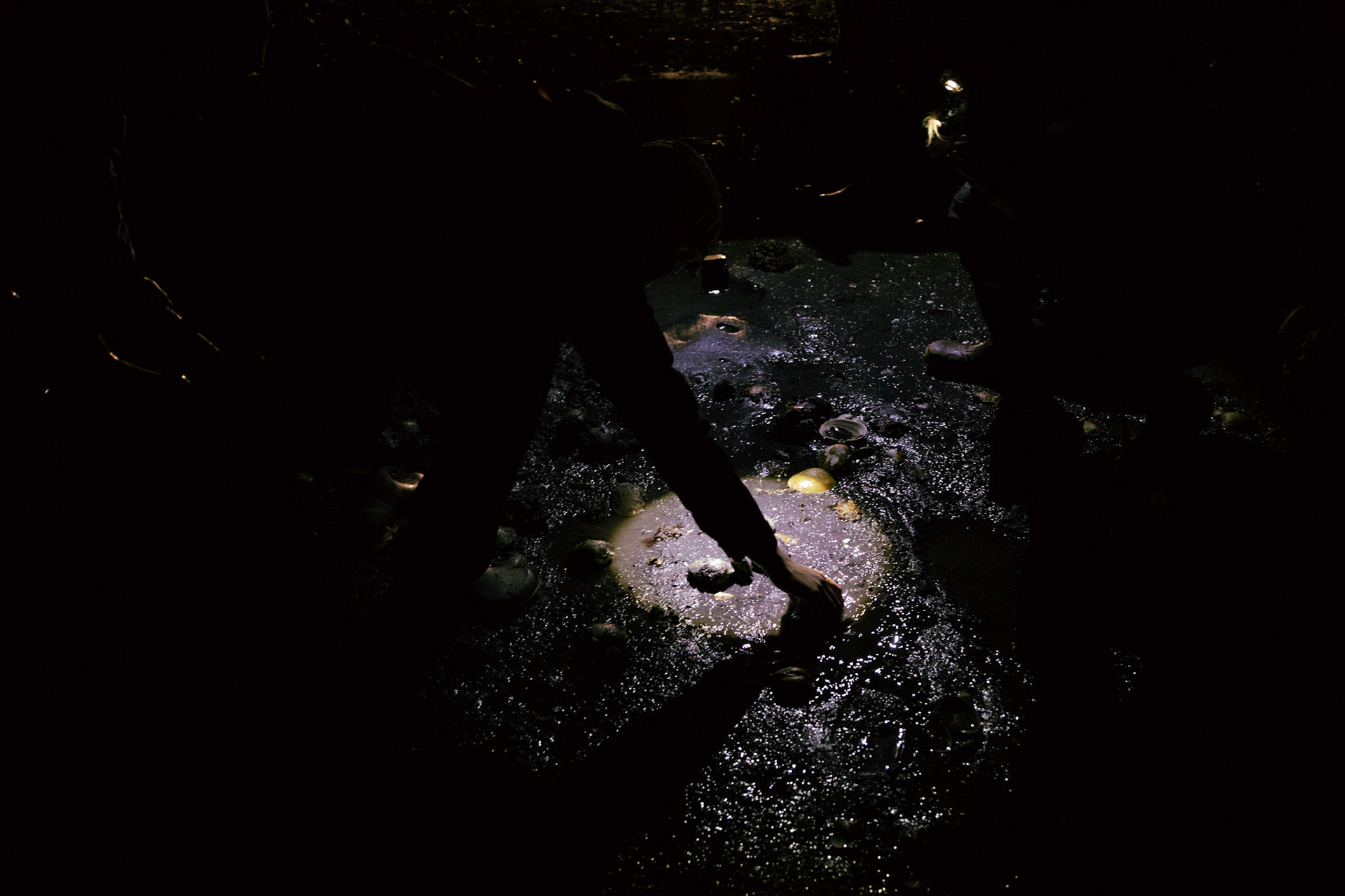 Kake Clam Sampling