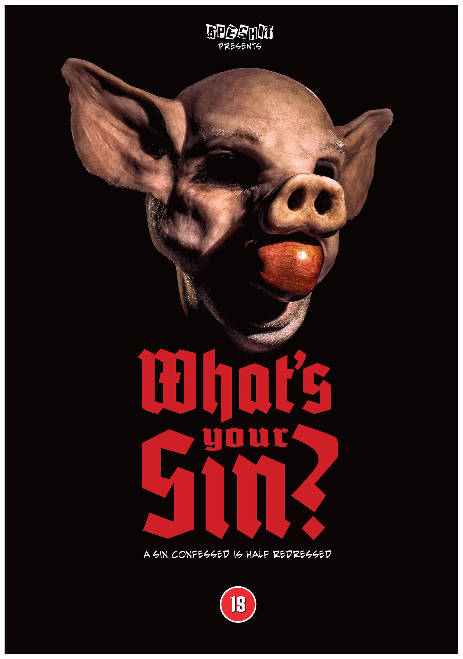WHAT'S YOUR SIN? A photographic novel, 64 Pages, colour