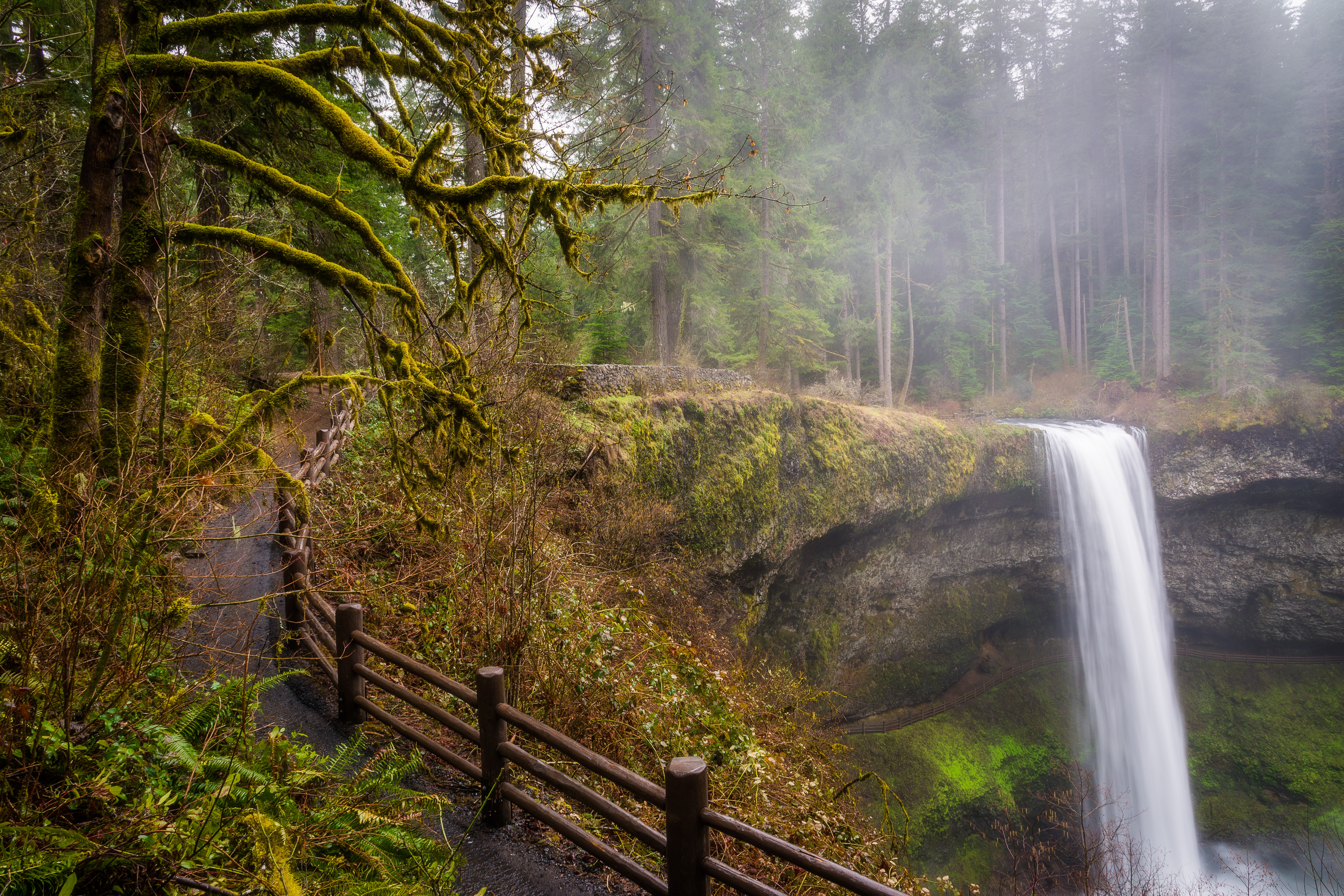 Silver Falls State Park, OR