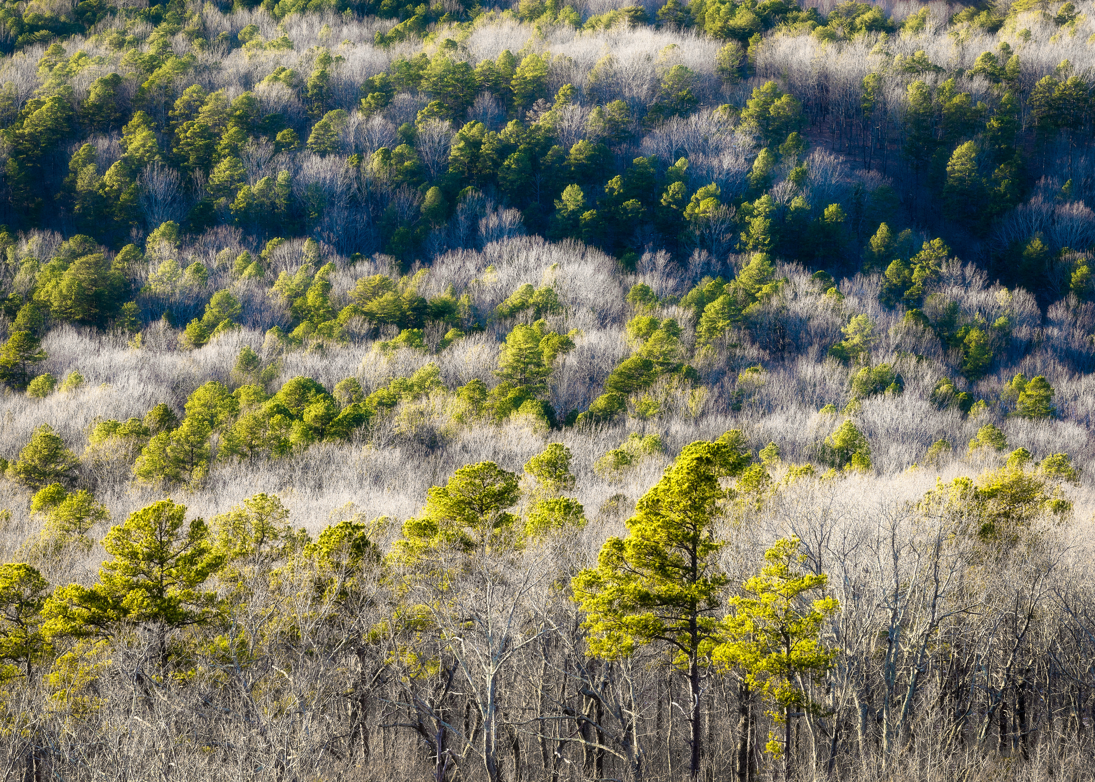 Crowders Mountain State Park, NC