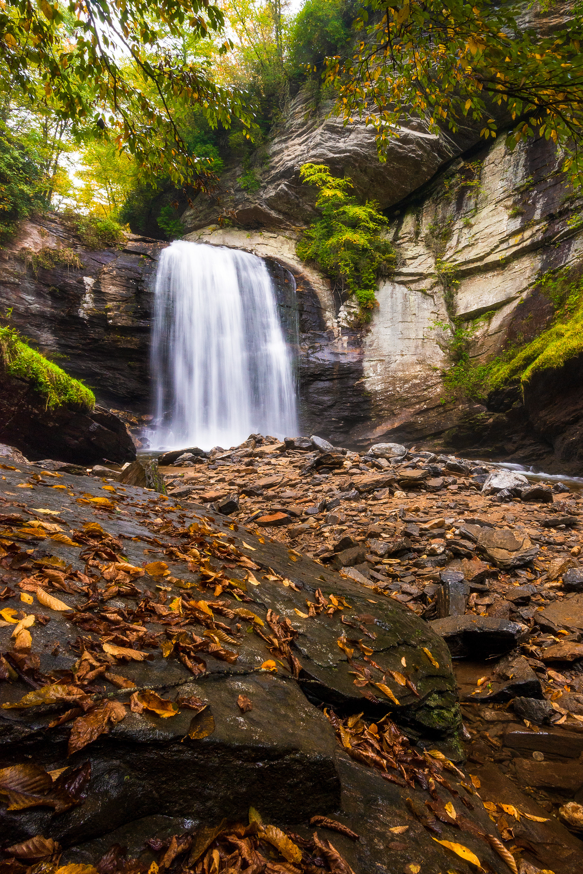 Brevard, NC