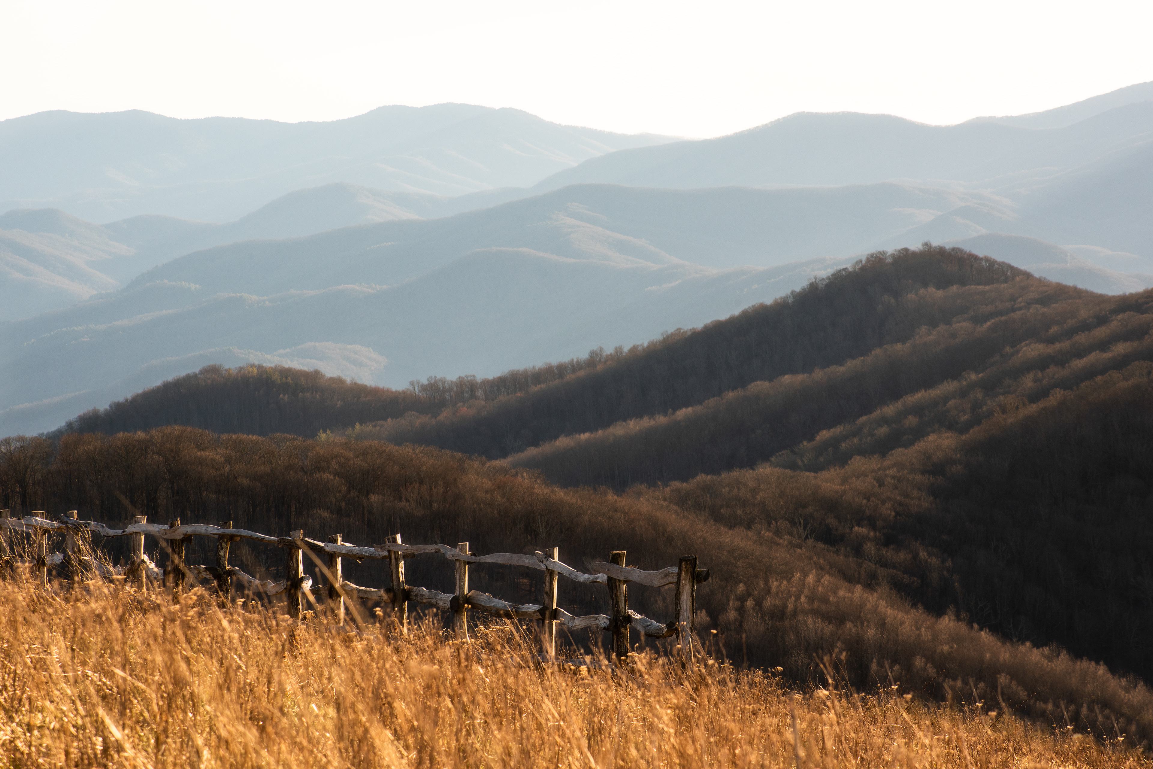 Max Patch, NC