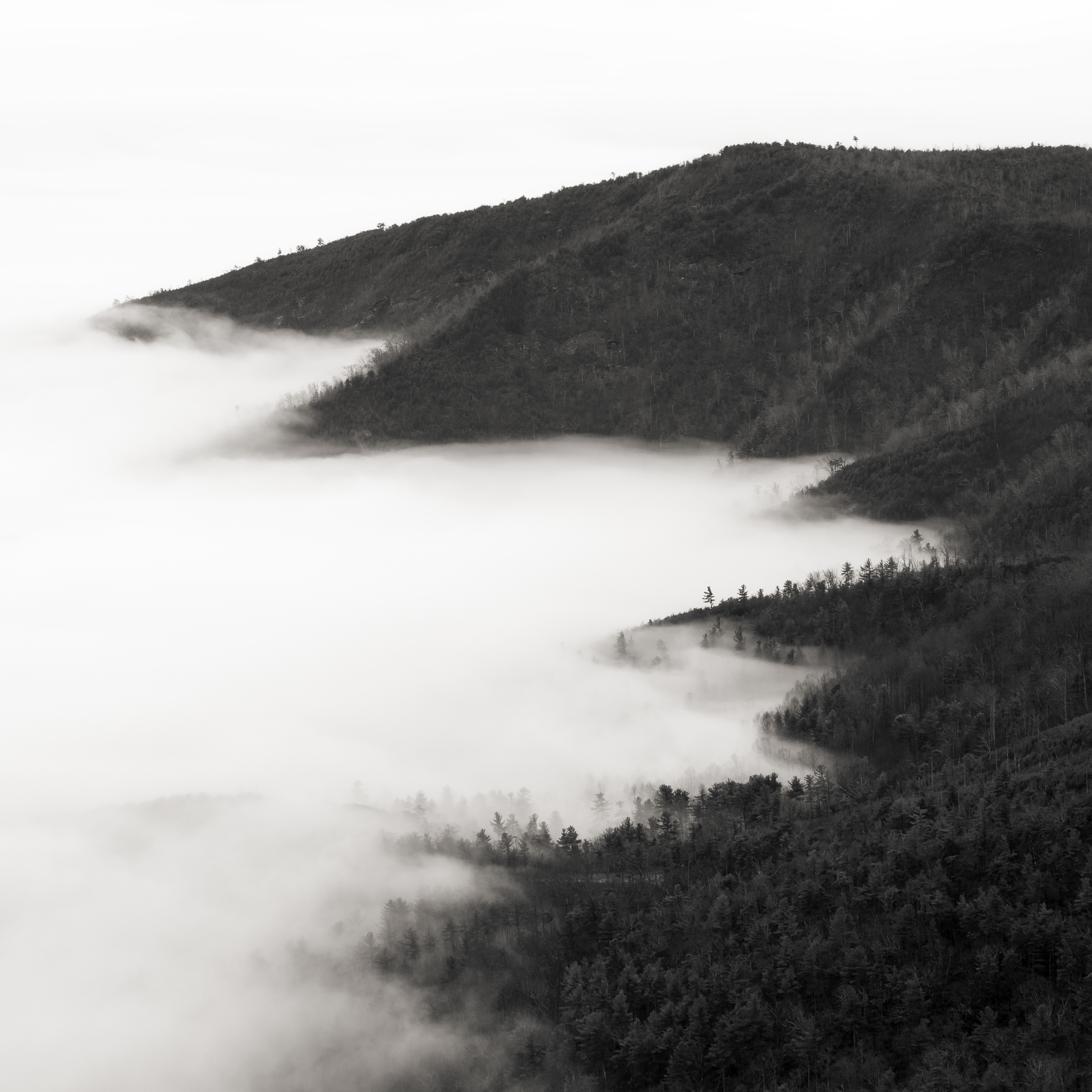 Linville, NC