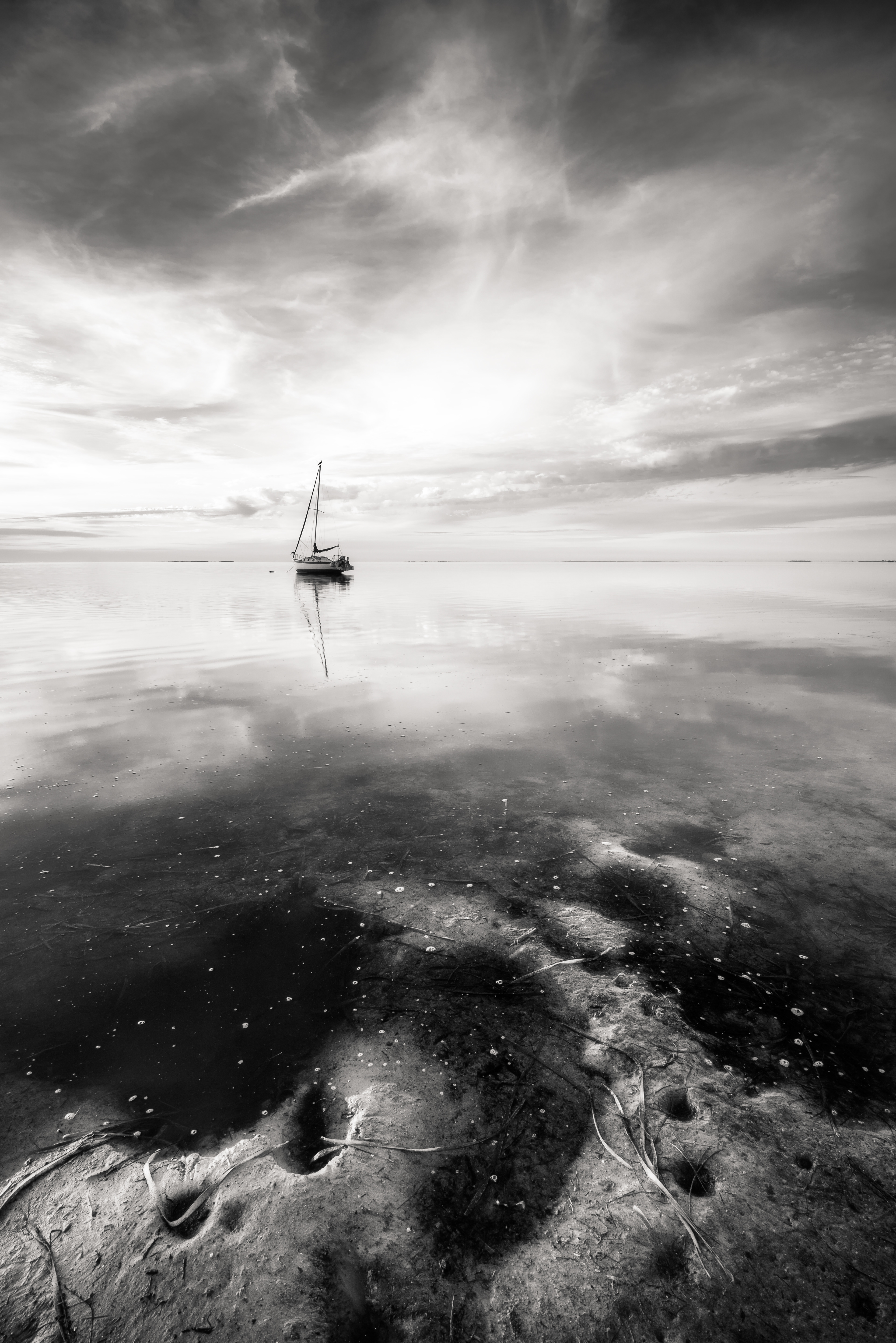 Dunedin, FL