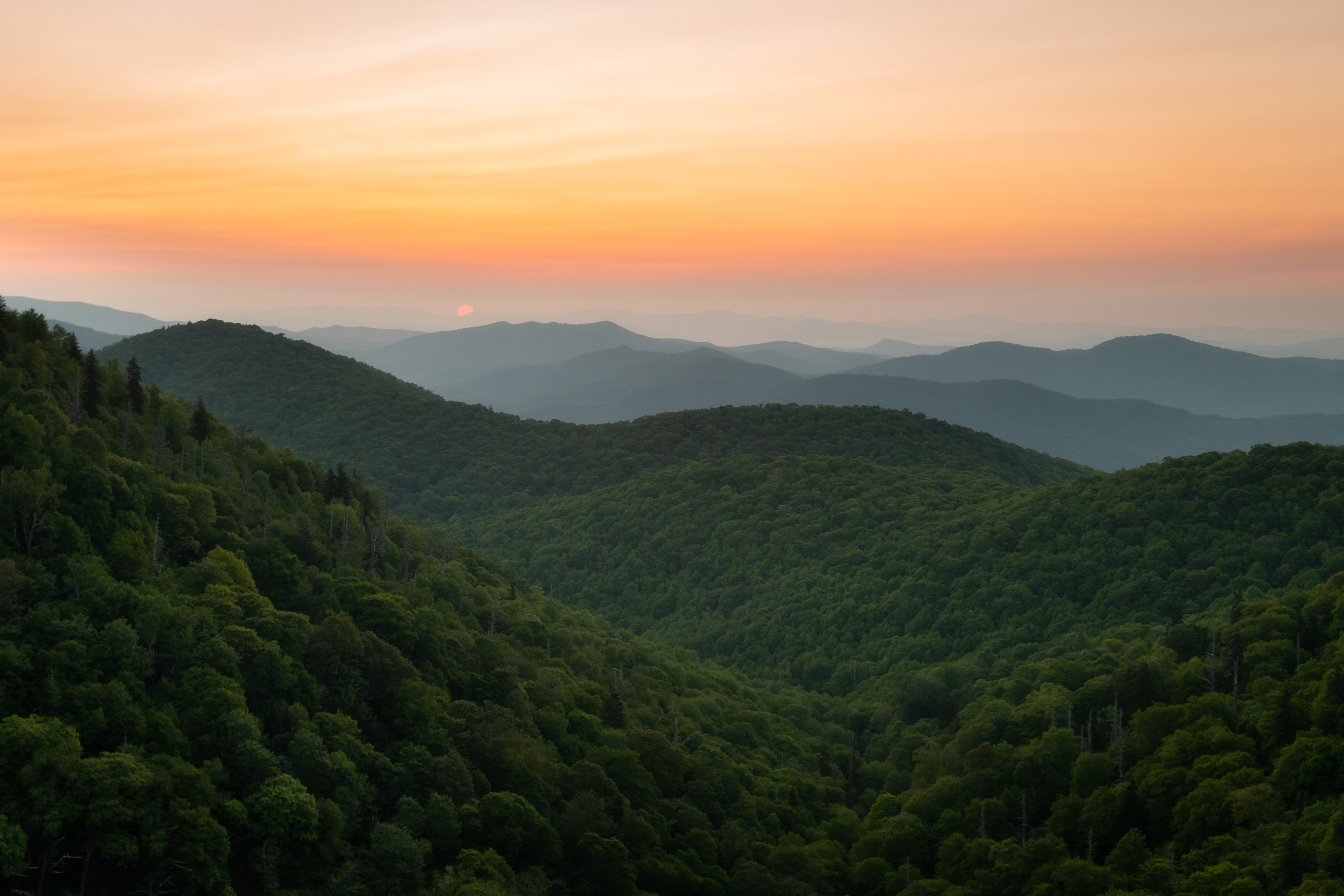 Balsam Grove, NC