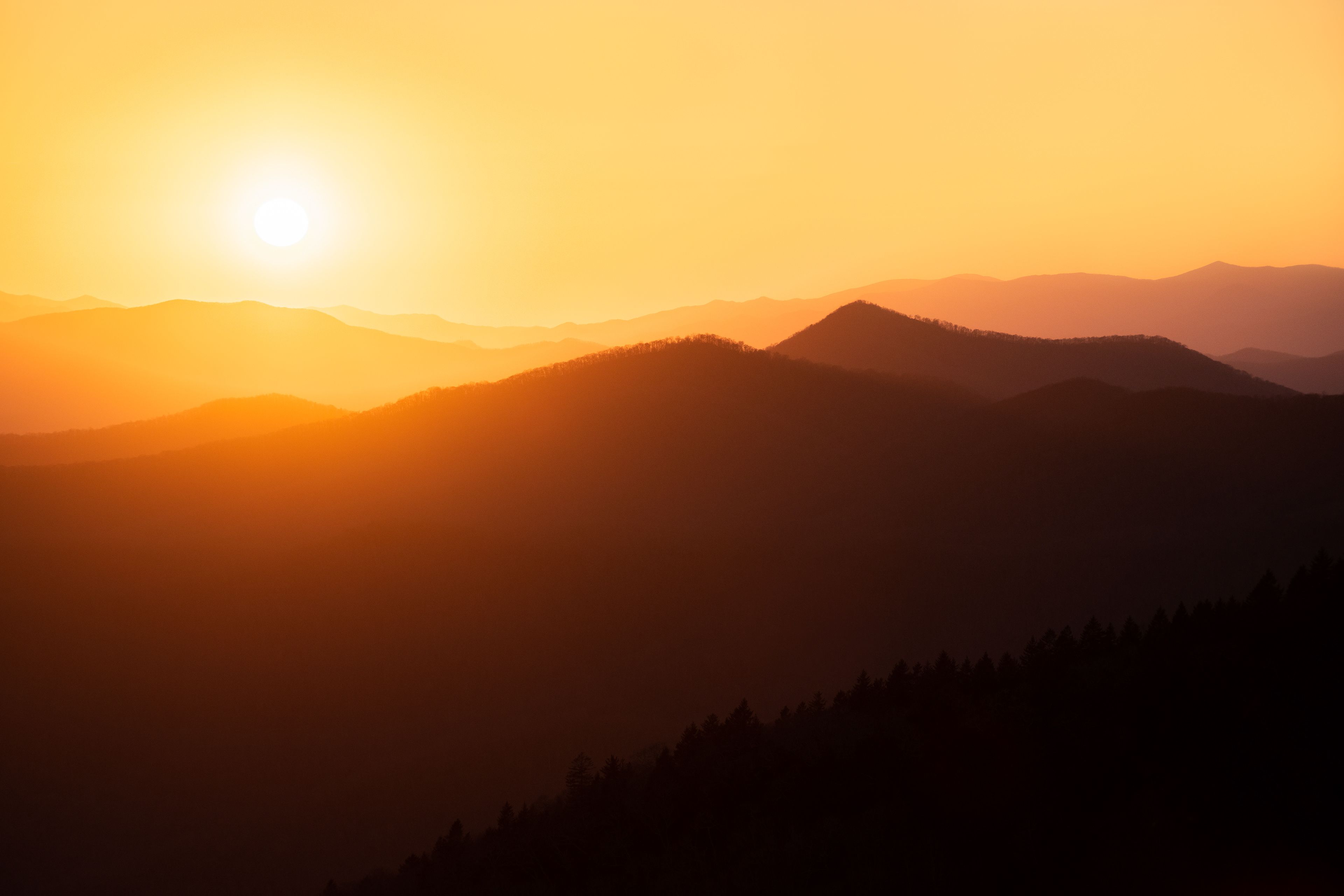 Waynesville, NC