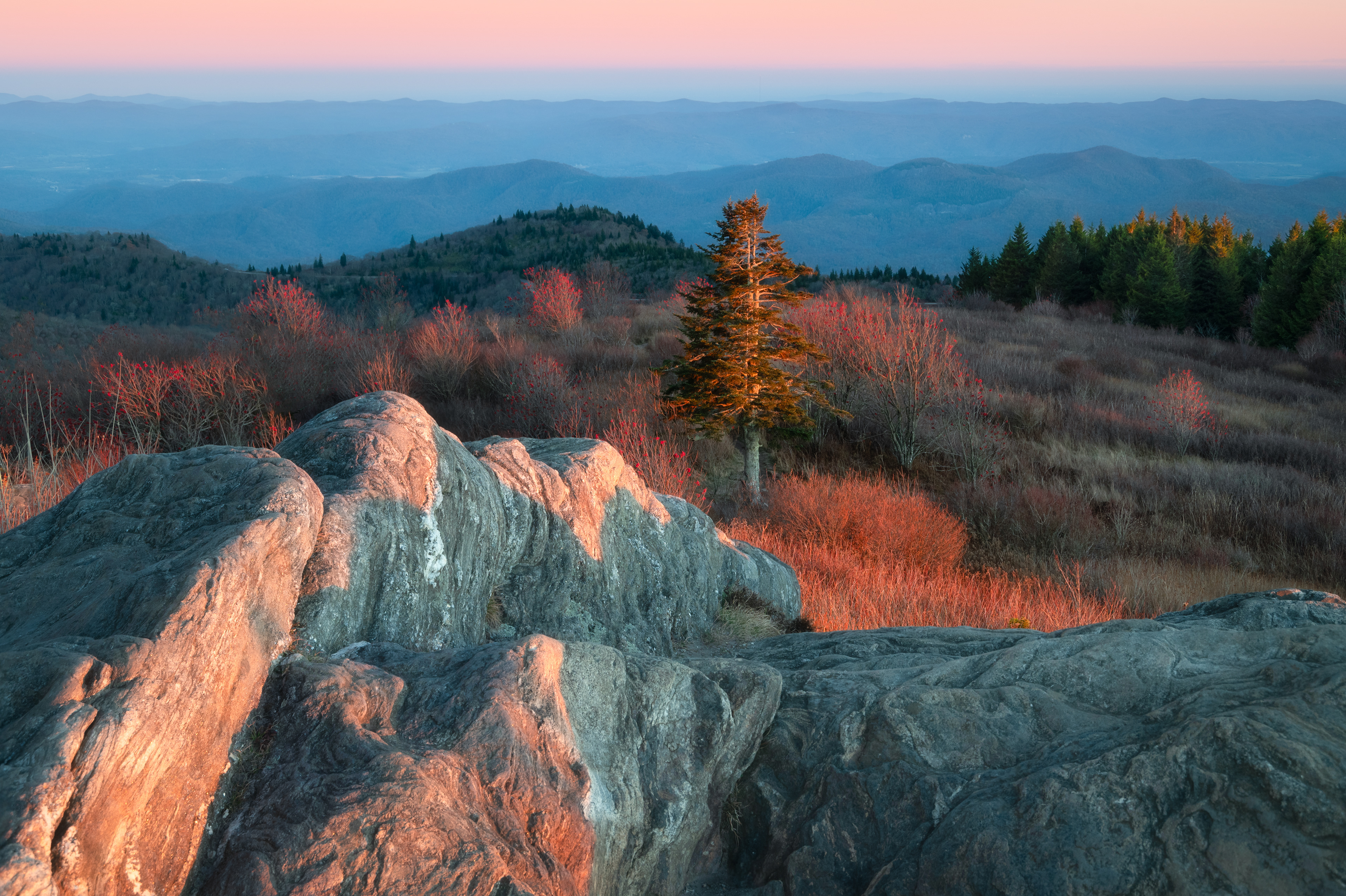 Balsam Grove, NC