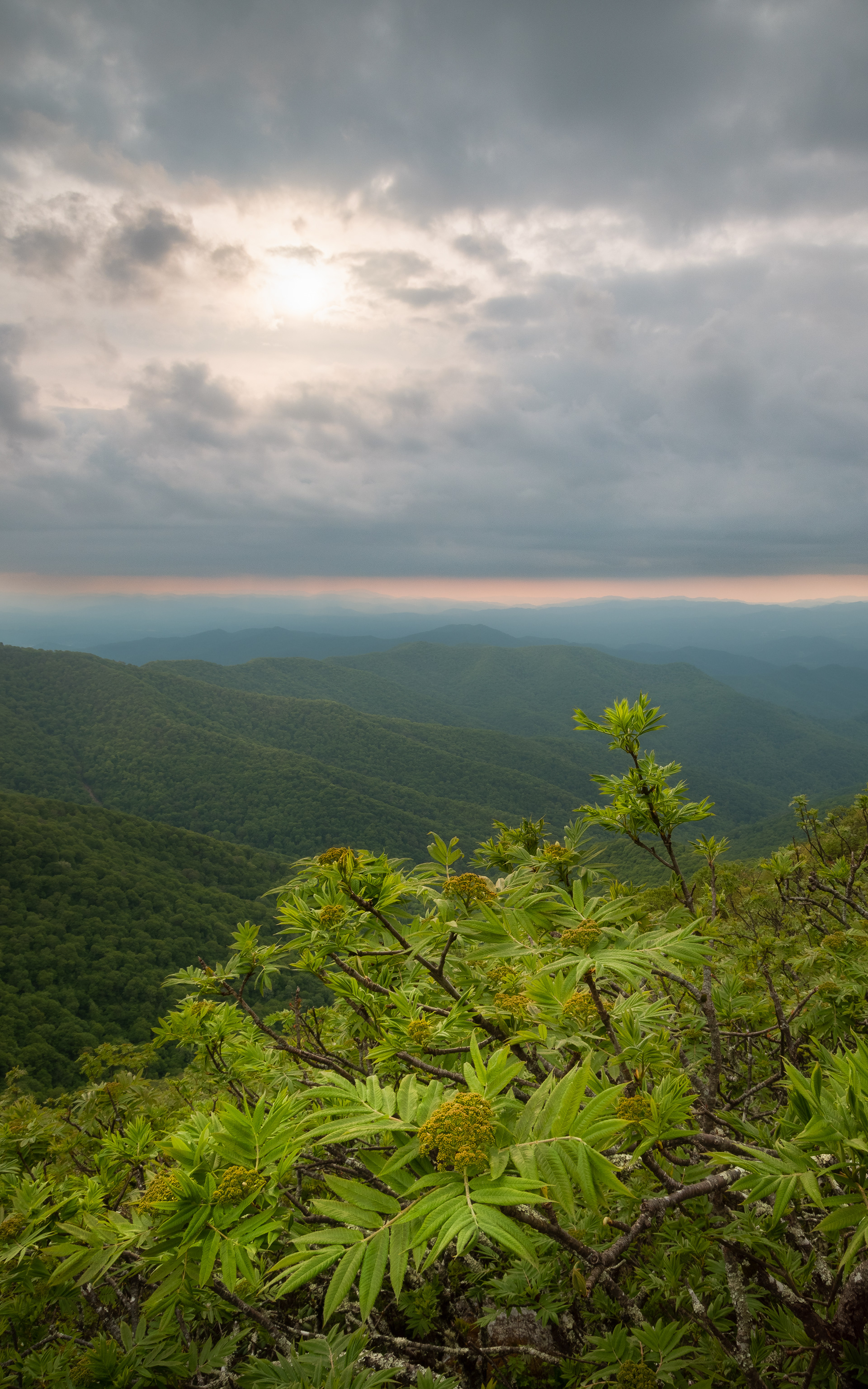 Craggy Gardens, NC