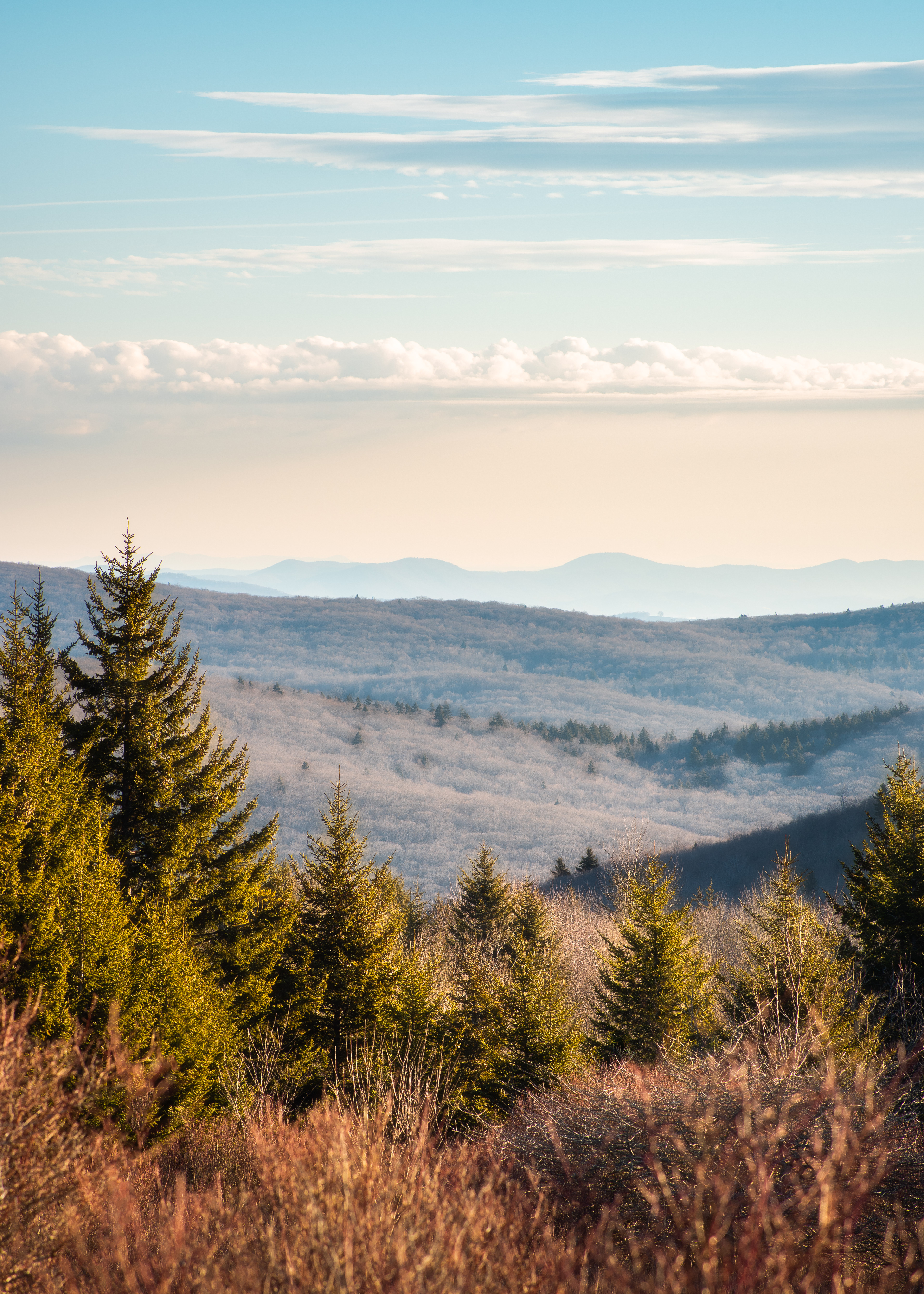 Grayson Highlands State Park, VA