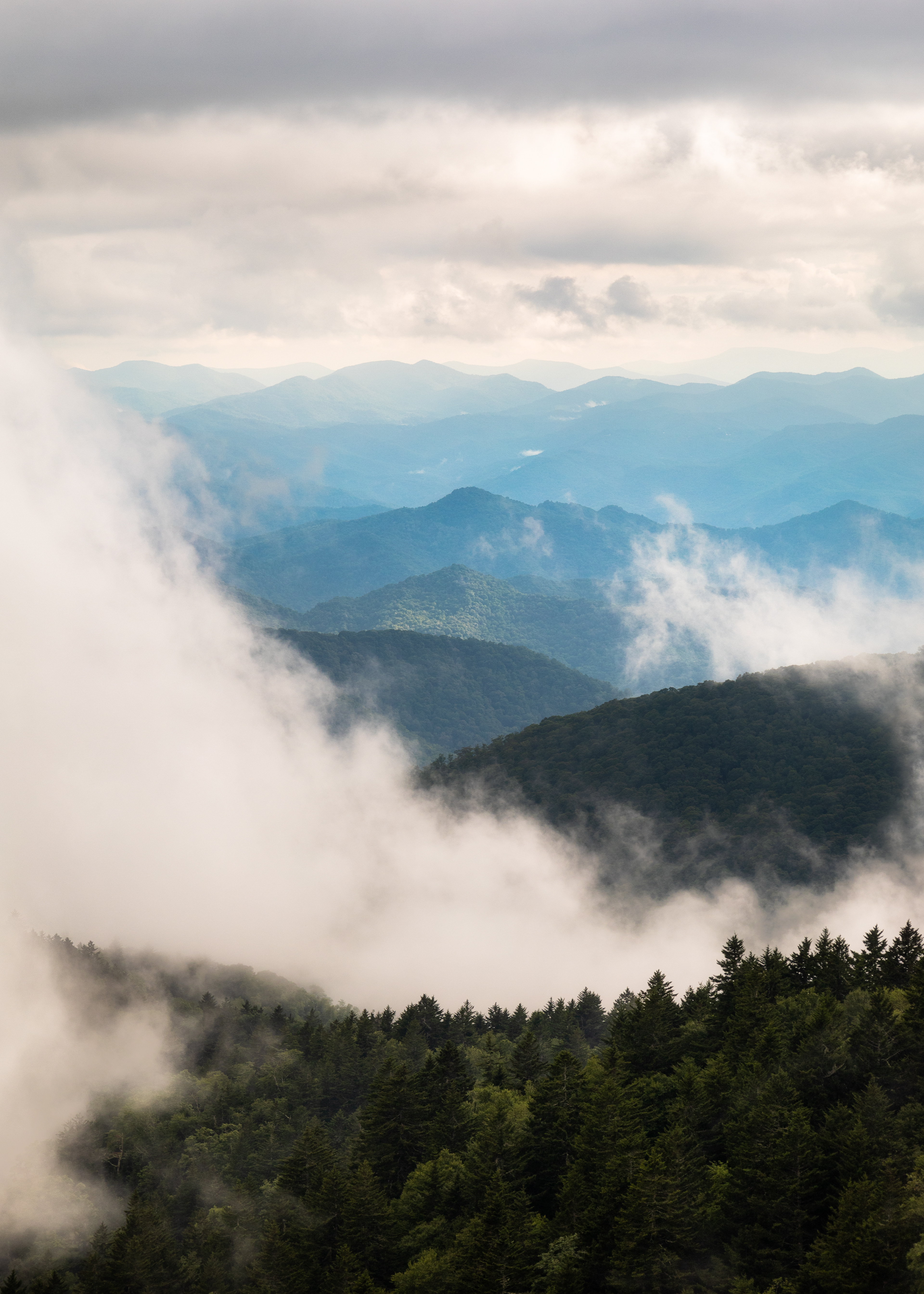 Waynesville, NC