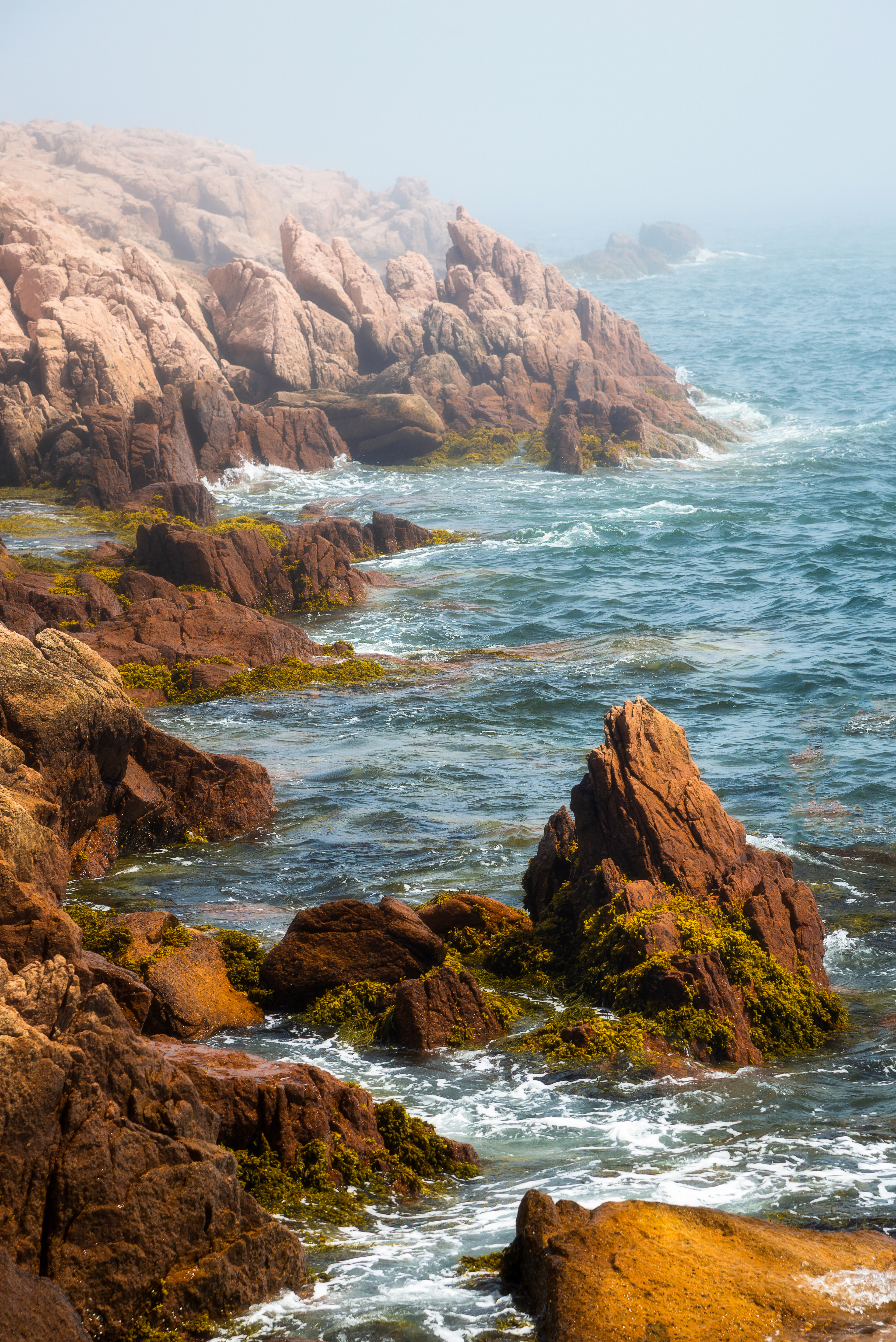 Acadia National Park, ME