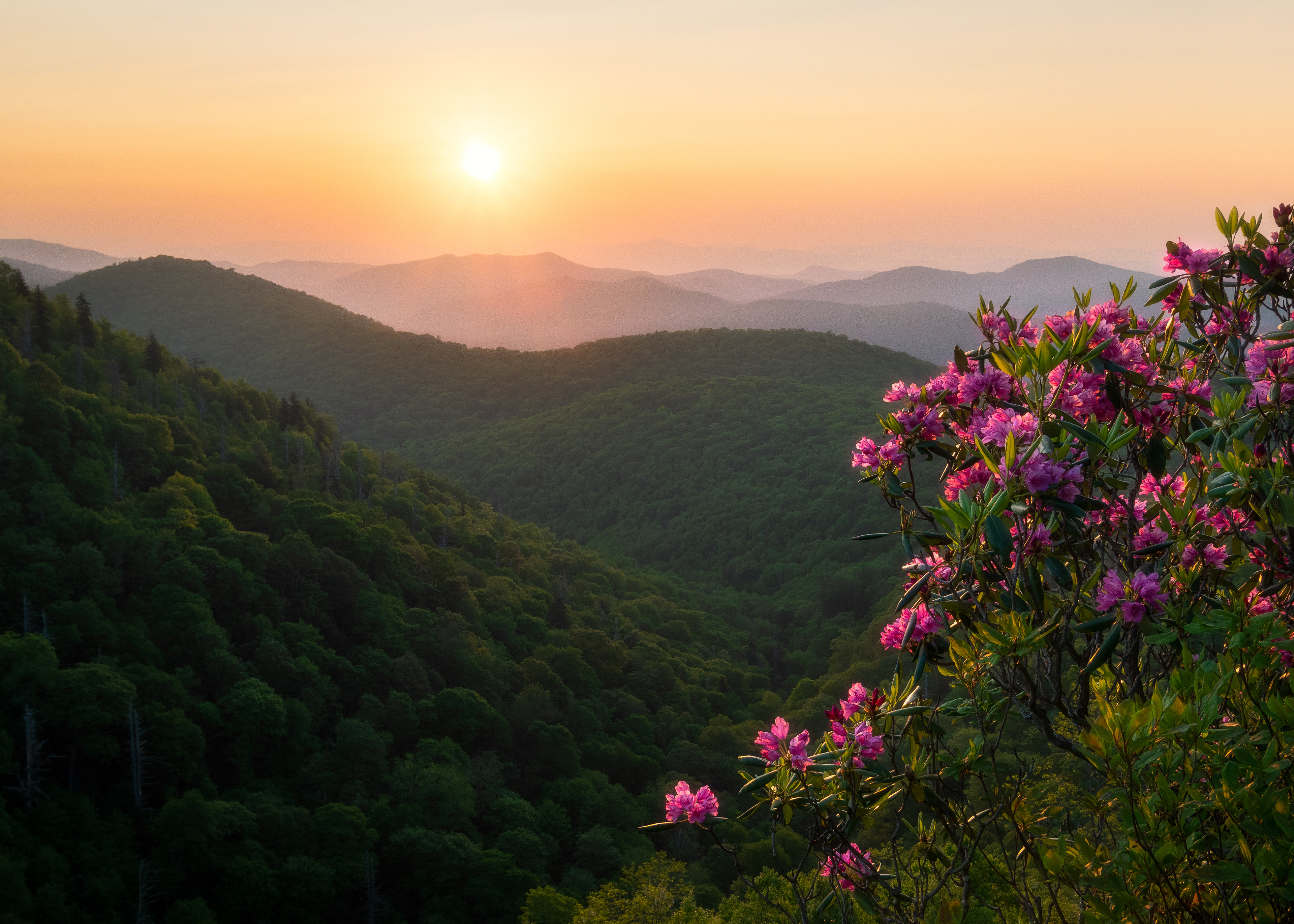Balsam Grove, NC