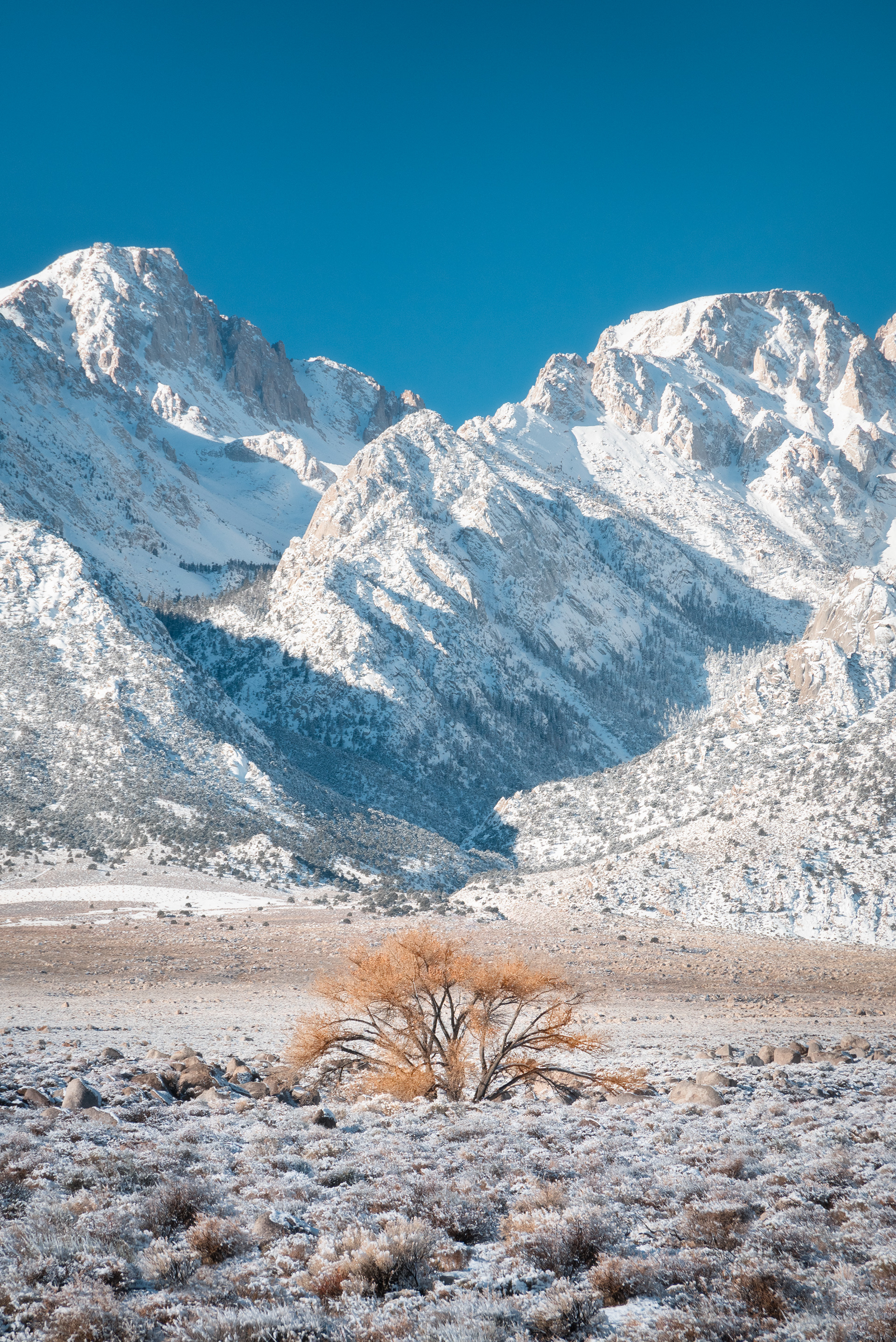 Lone Pine, CA
