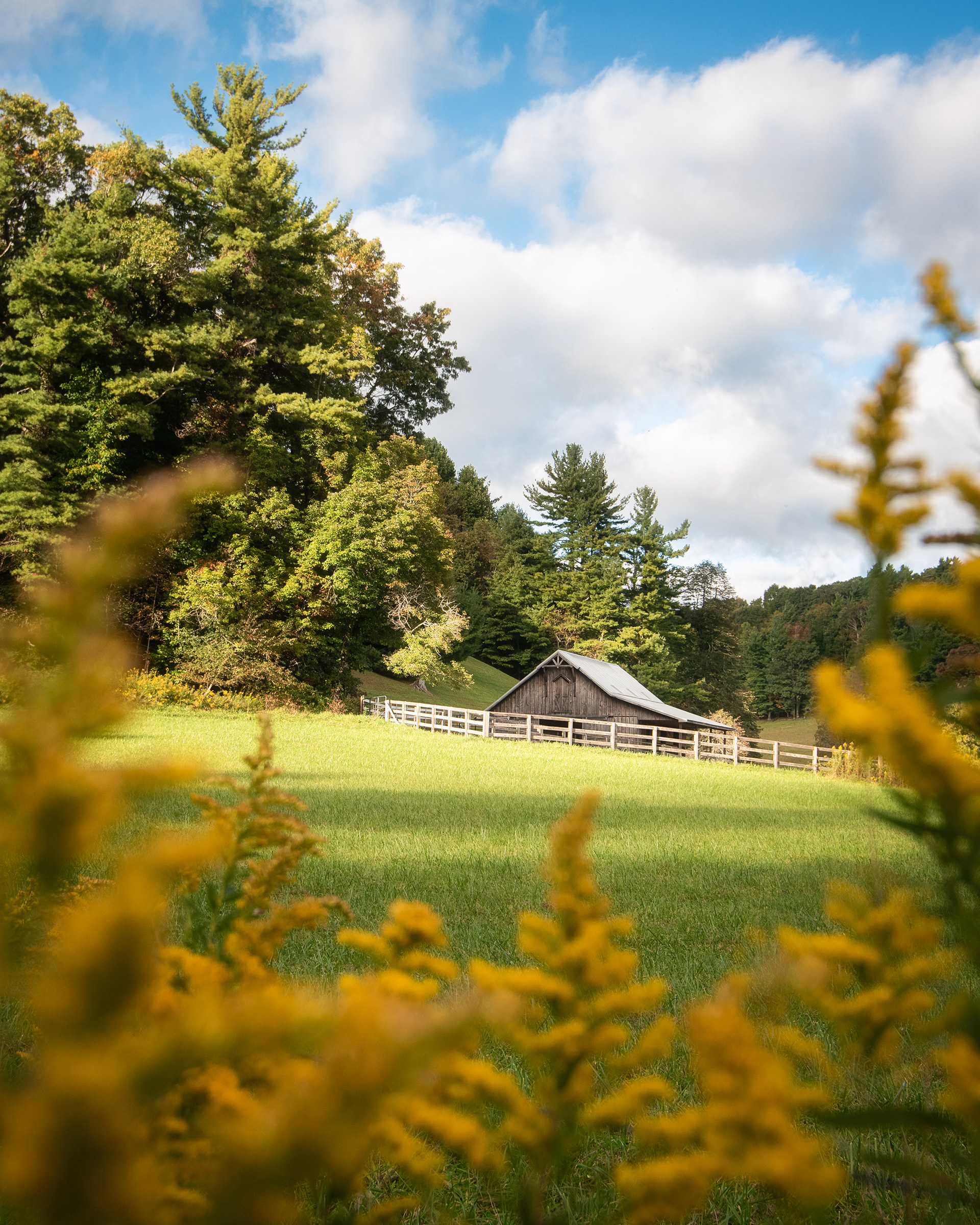 Blue Ridge Parkway, NC