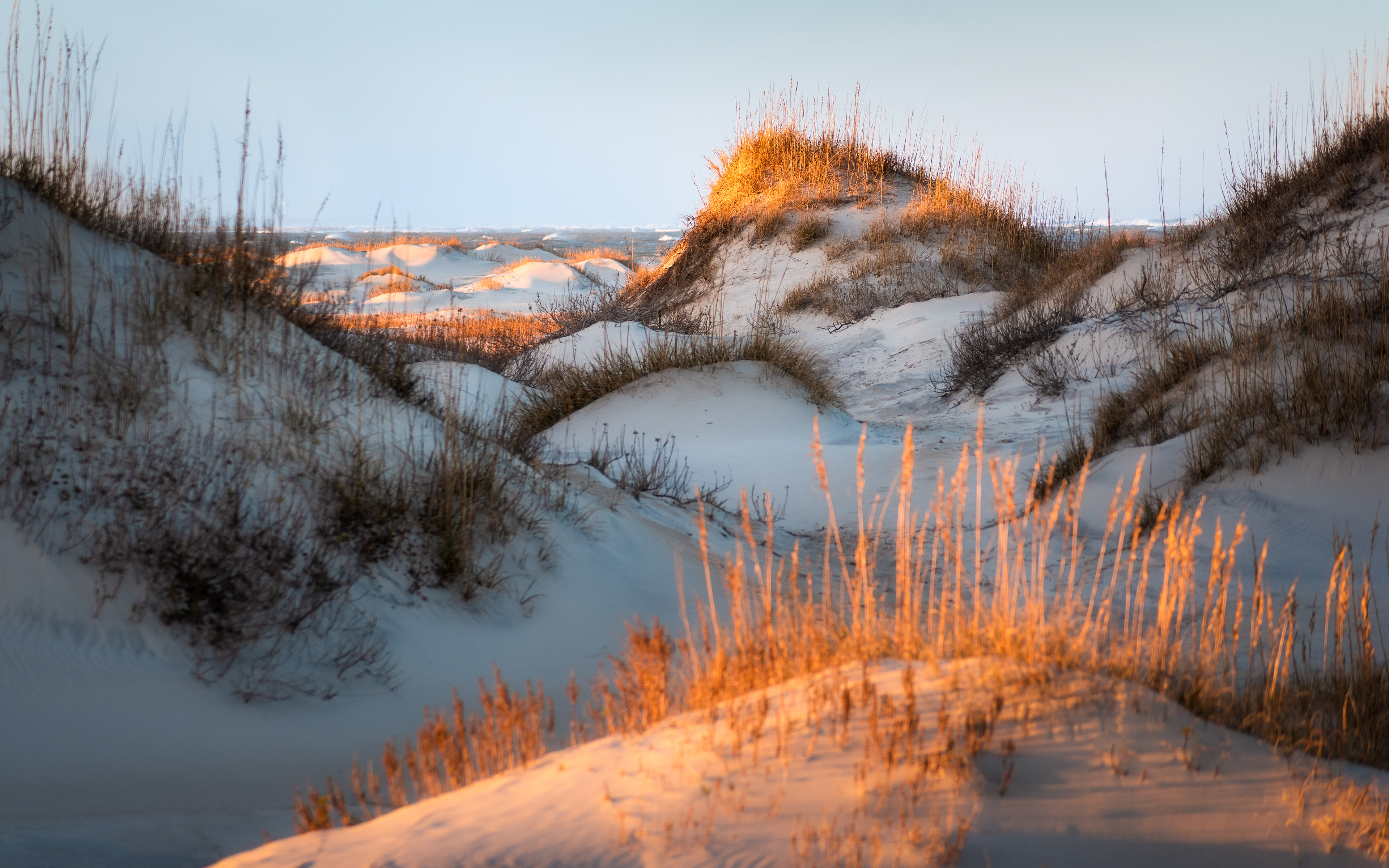 Outer Banks, NC