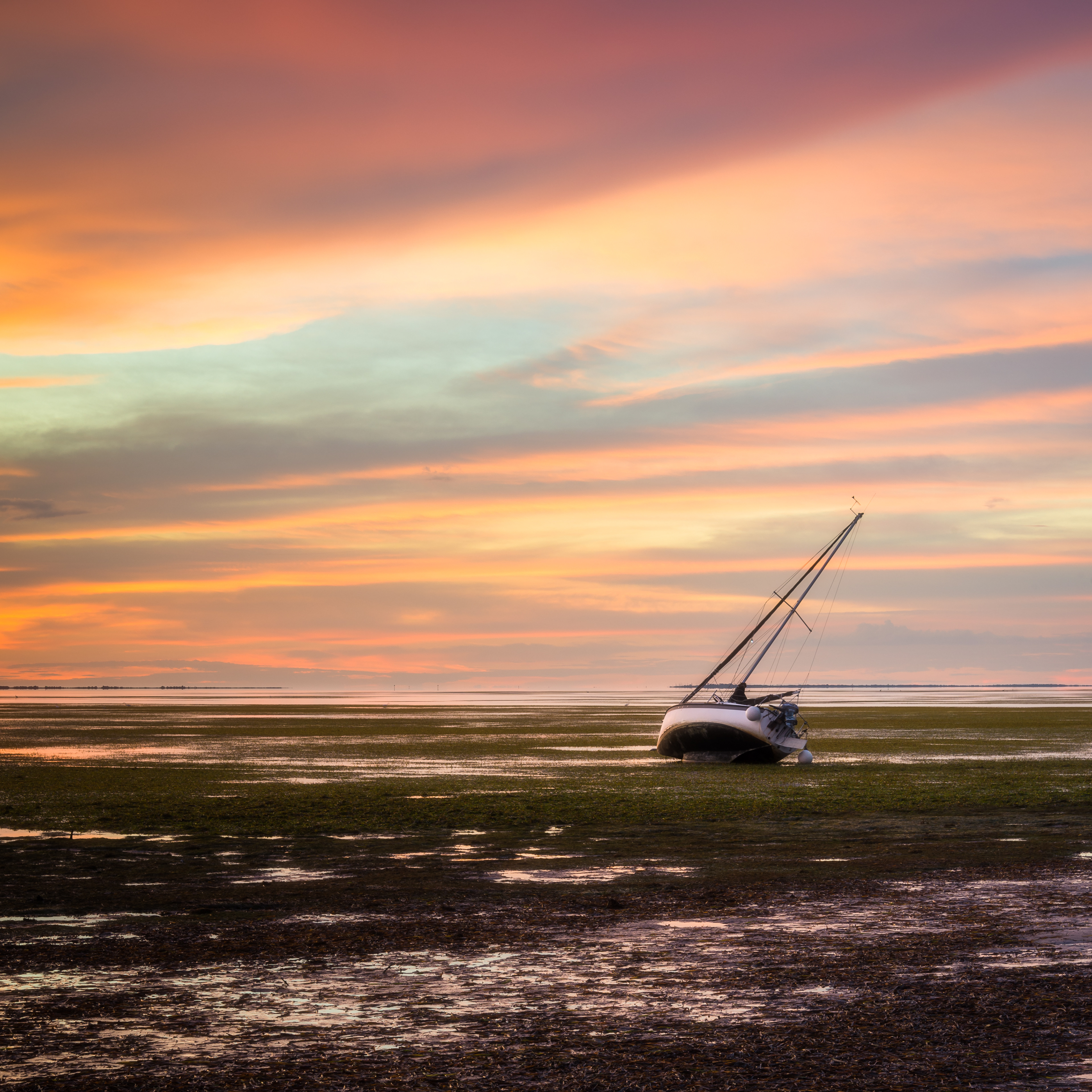 Dunedin, FL