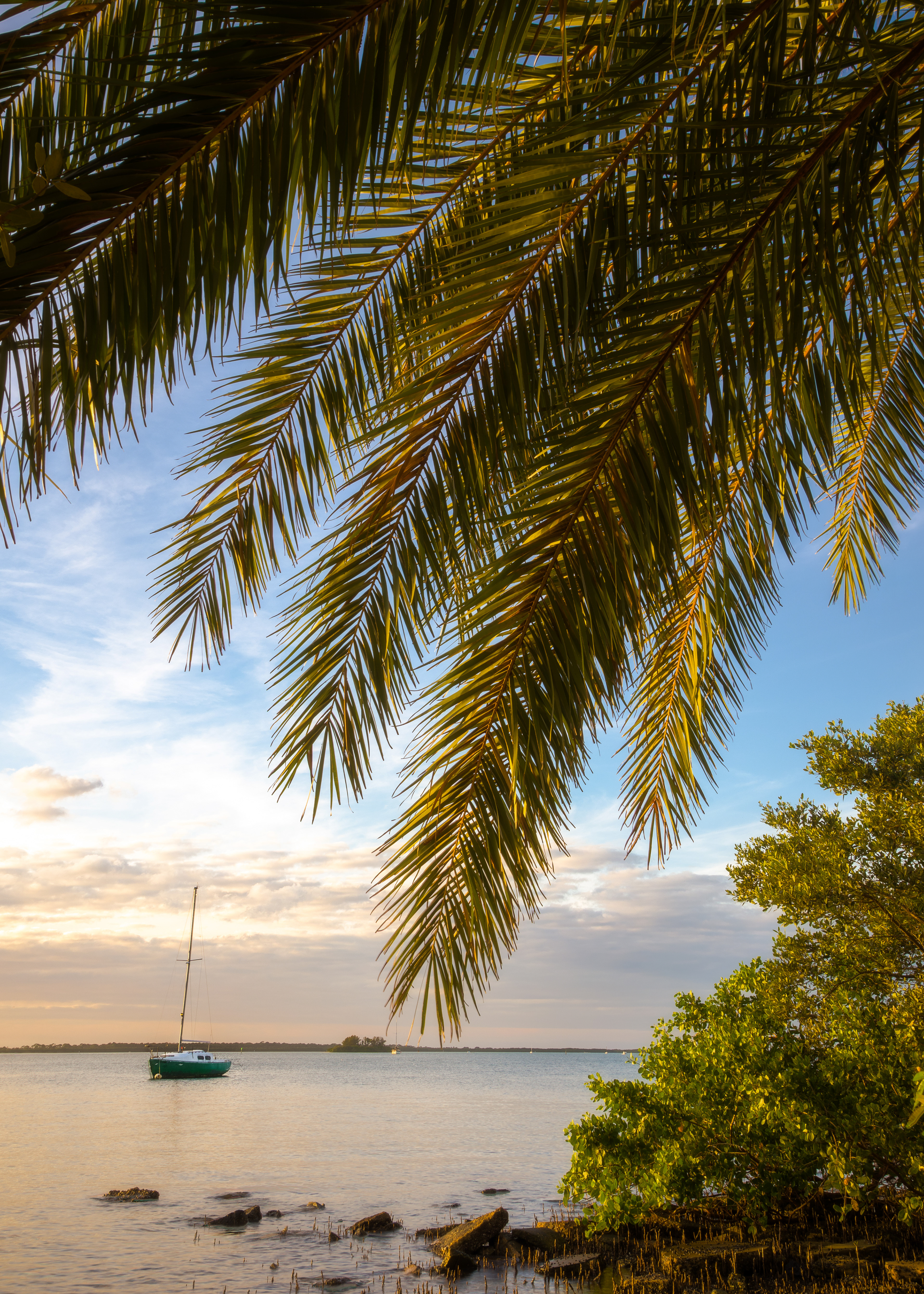 Dunedin, FL