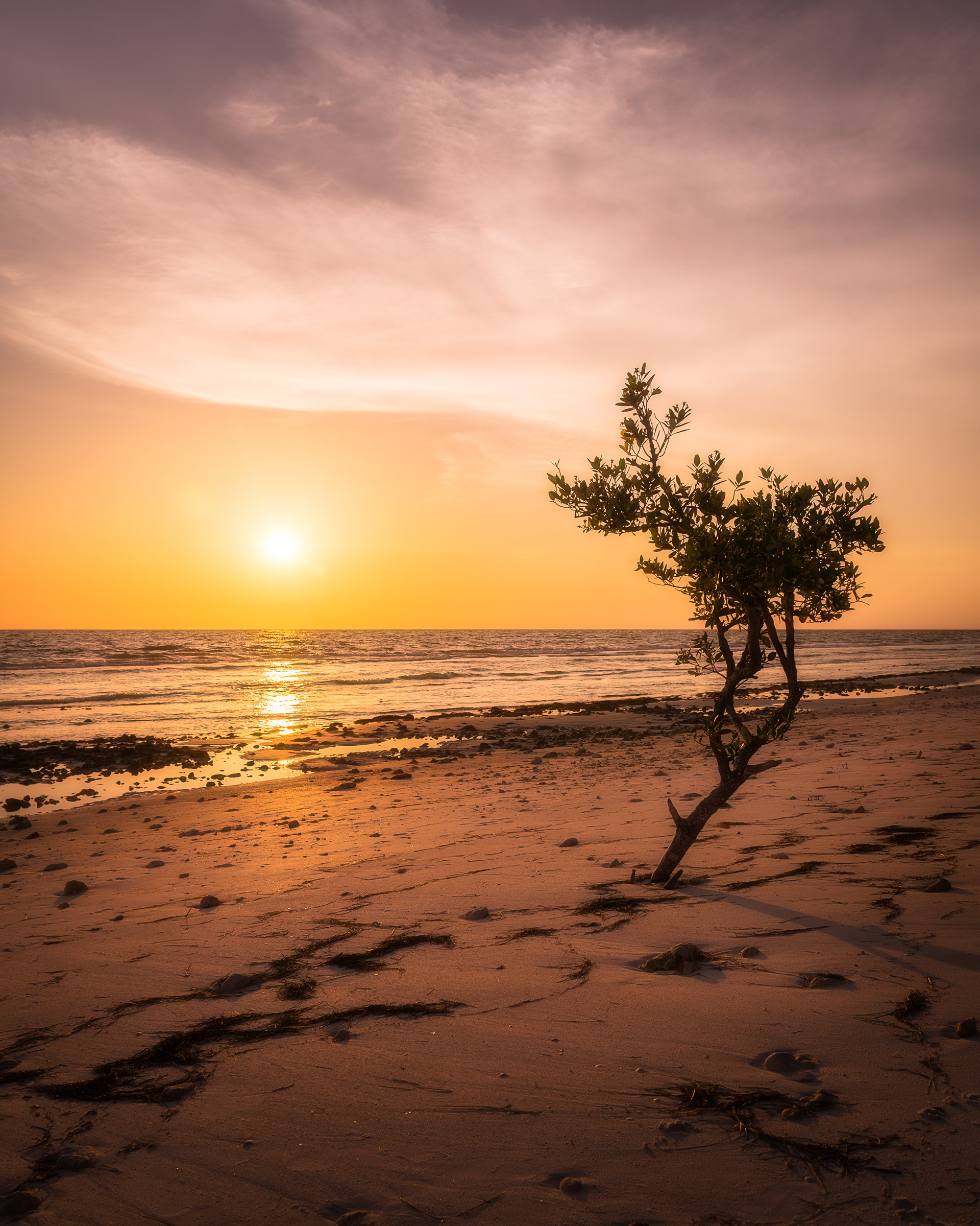 Honeymoon Island, FL
