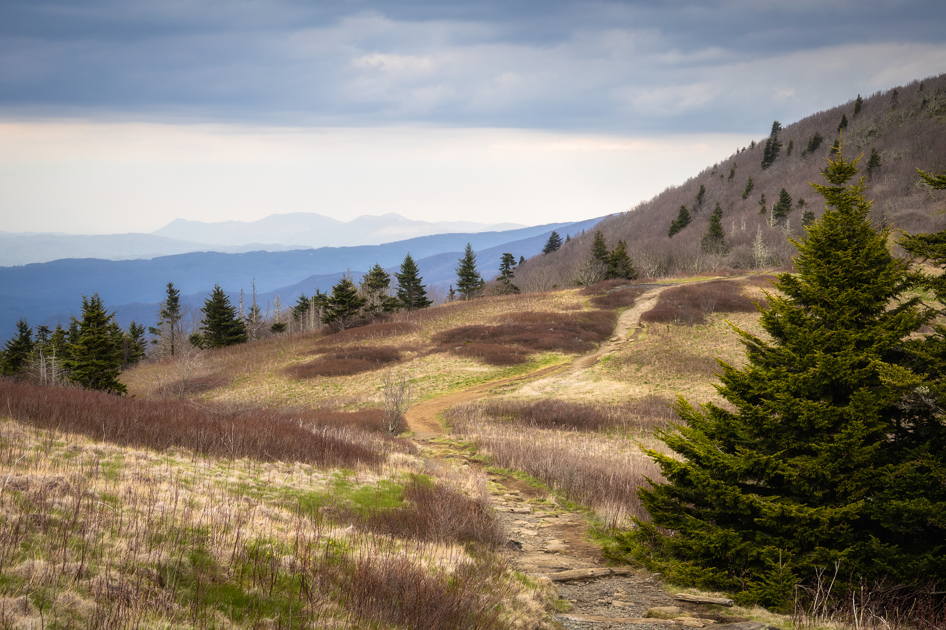 Roan Mountain, TN