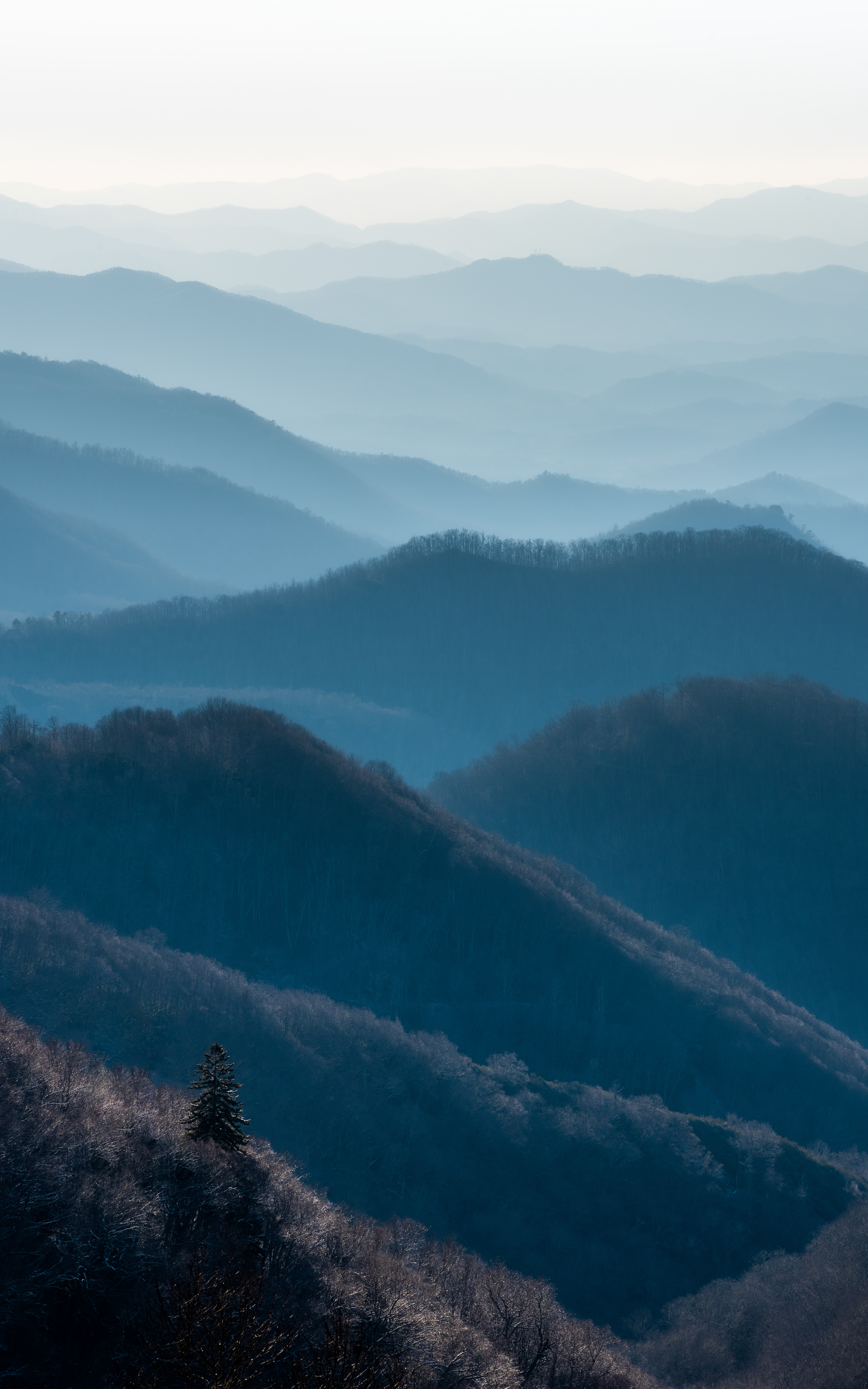 Maggie Valley, NC