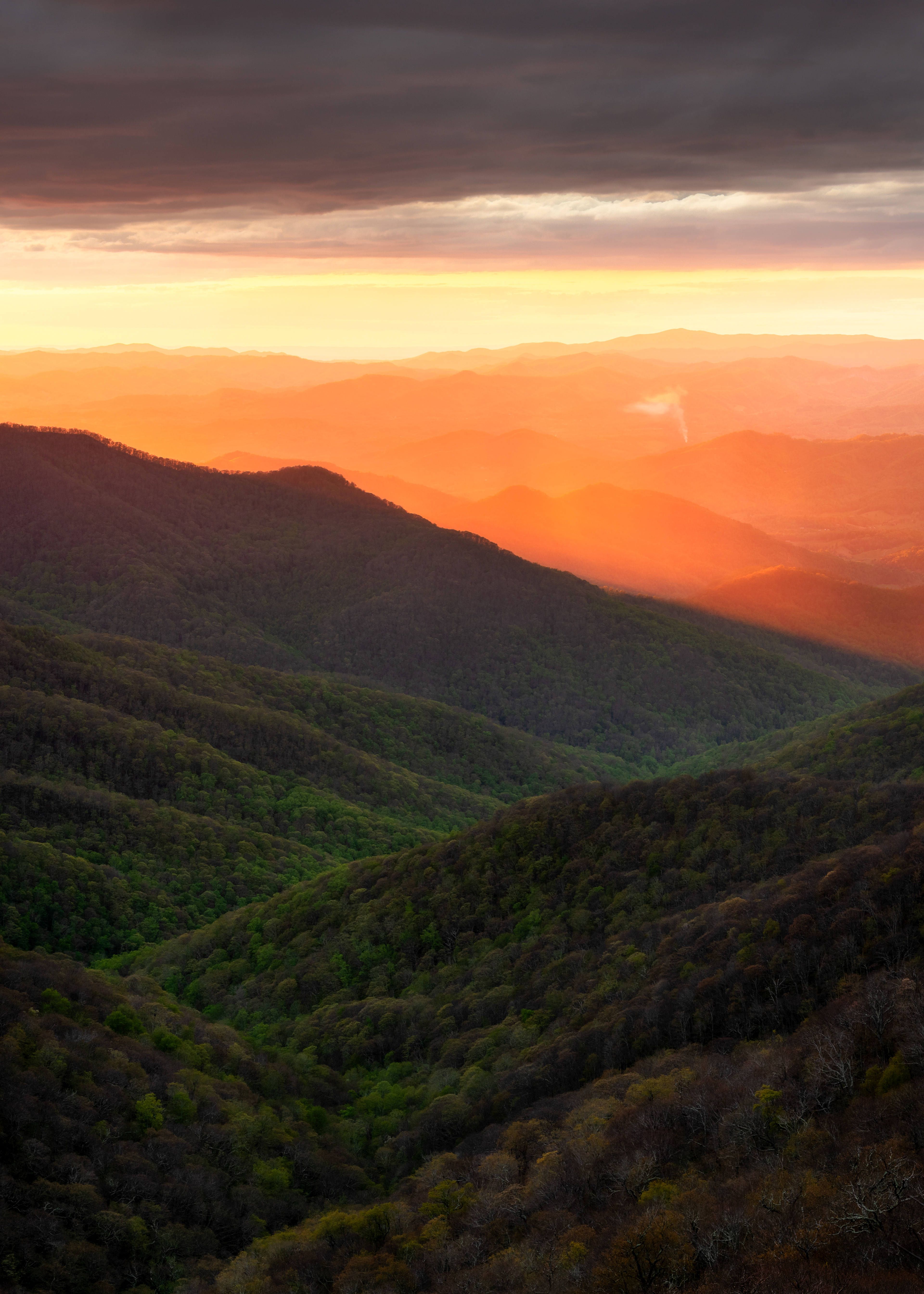 Asheville, NC
