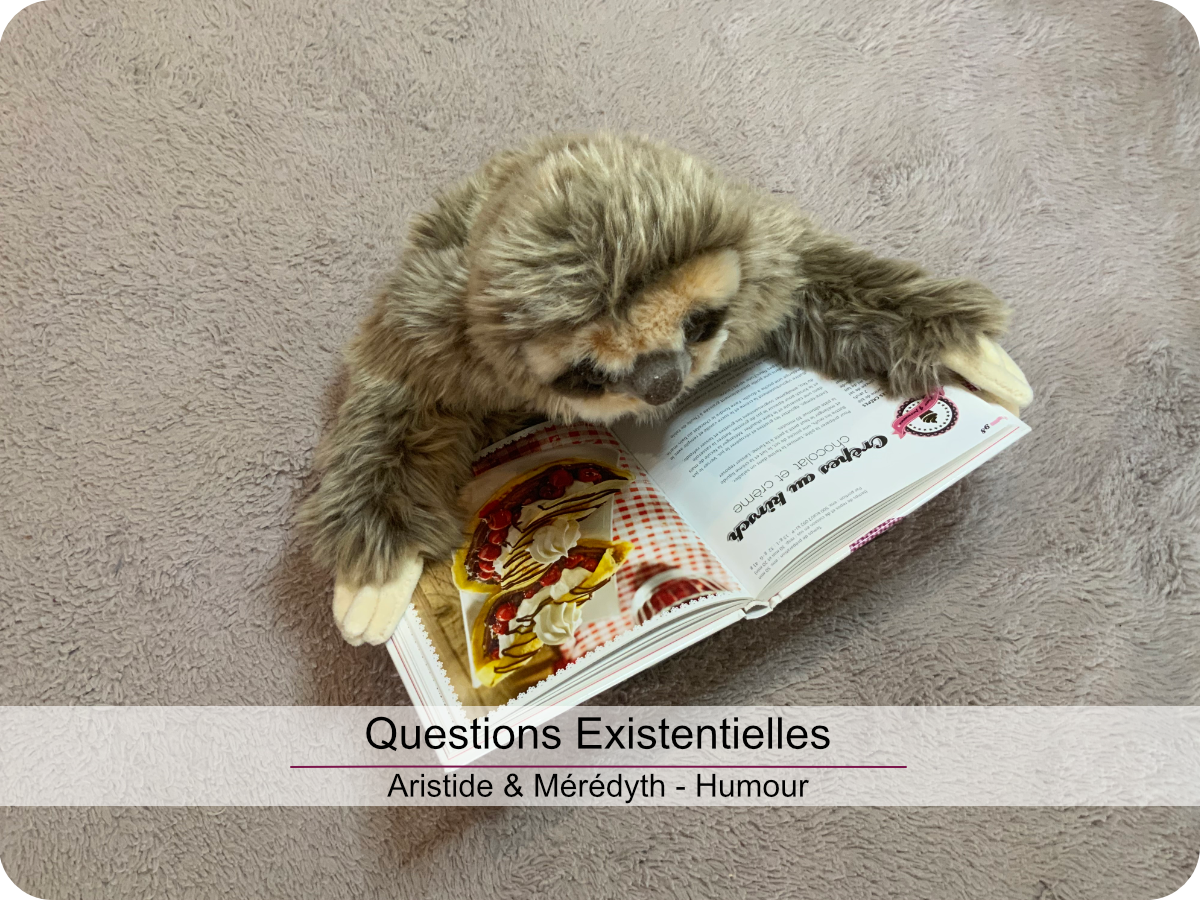 Questions Existentielles, Aristide & Mérédyth