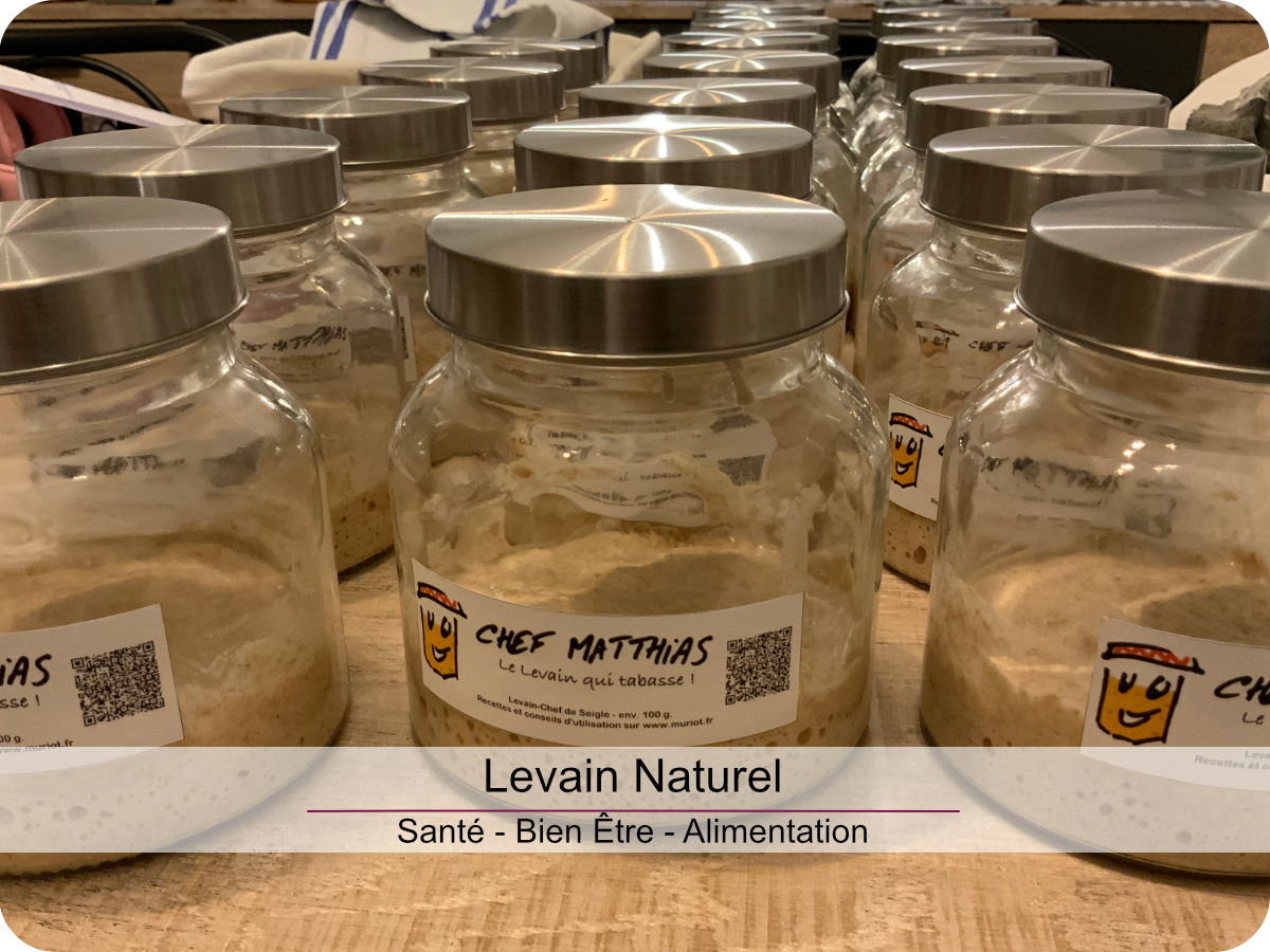 Levain Naturel, techniques et recettes