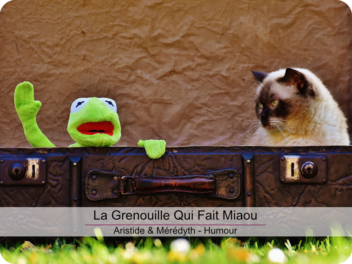 La Grenouille Qui Fait Miaou, Aristide & Mérédyth