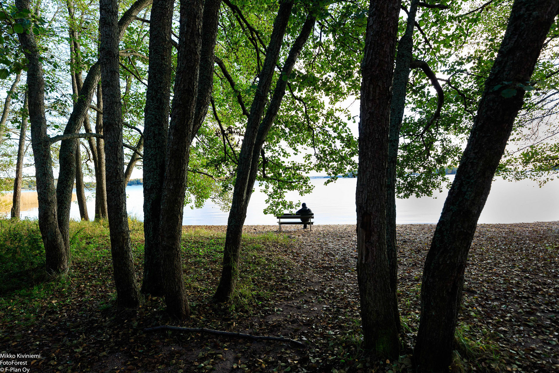 Sandfjärden, Inkoo 1051