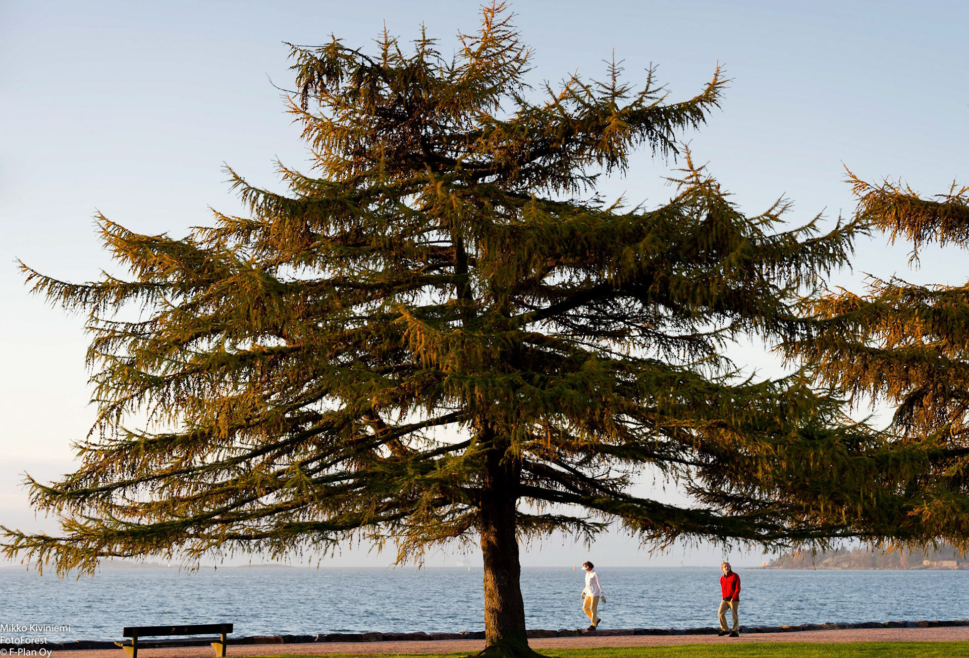 Aamuhetki, Helsinki, 1131