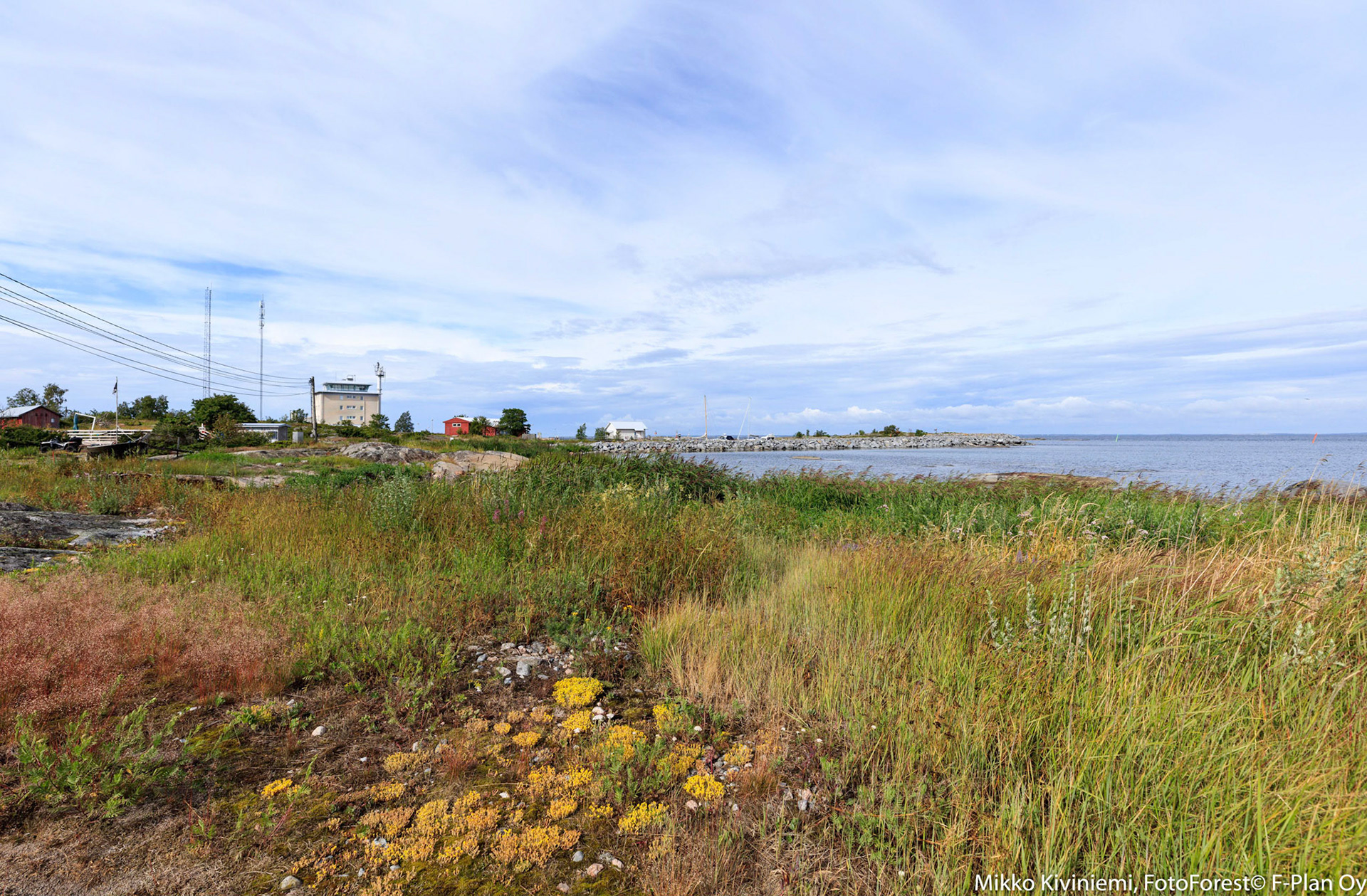 Rantaniitty, Isokari, 1290