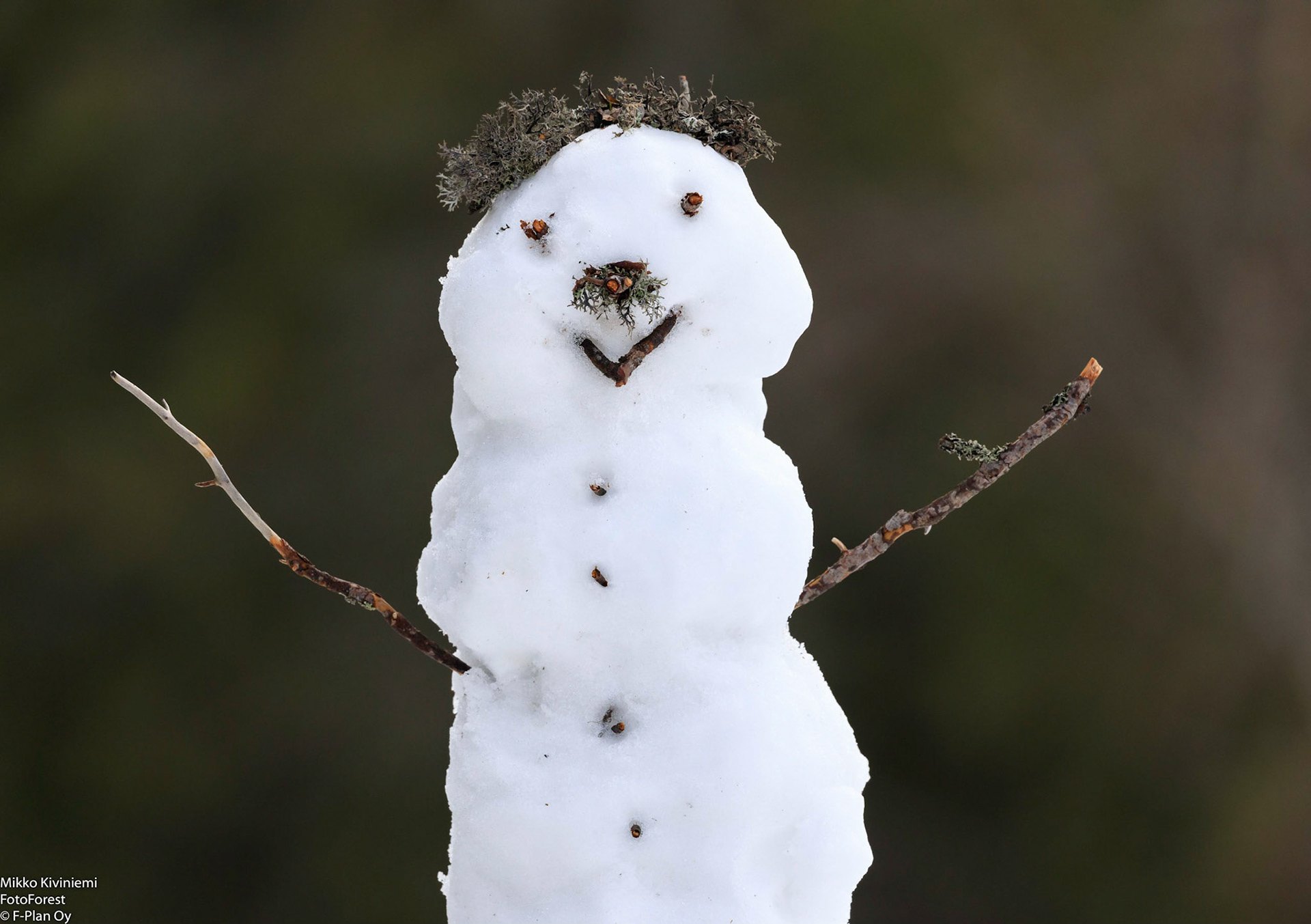 Kolin Kansallispuisto, 1225