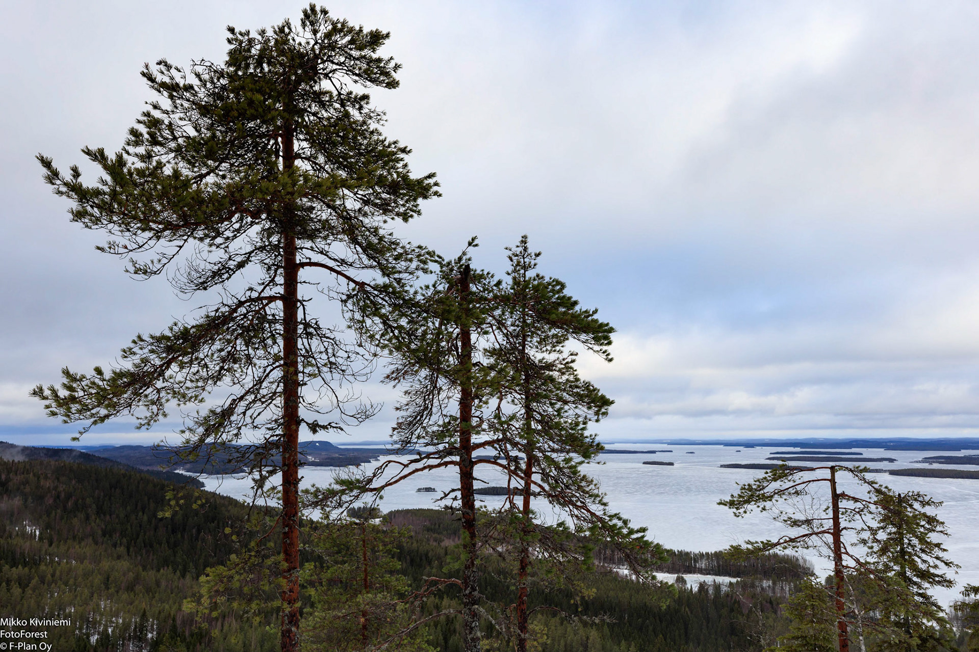 Näkymä Mäkrältä Pielisen Purjeselälle, 1236