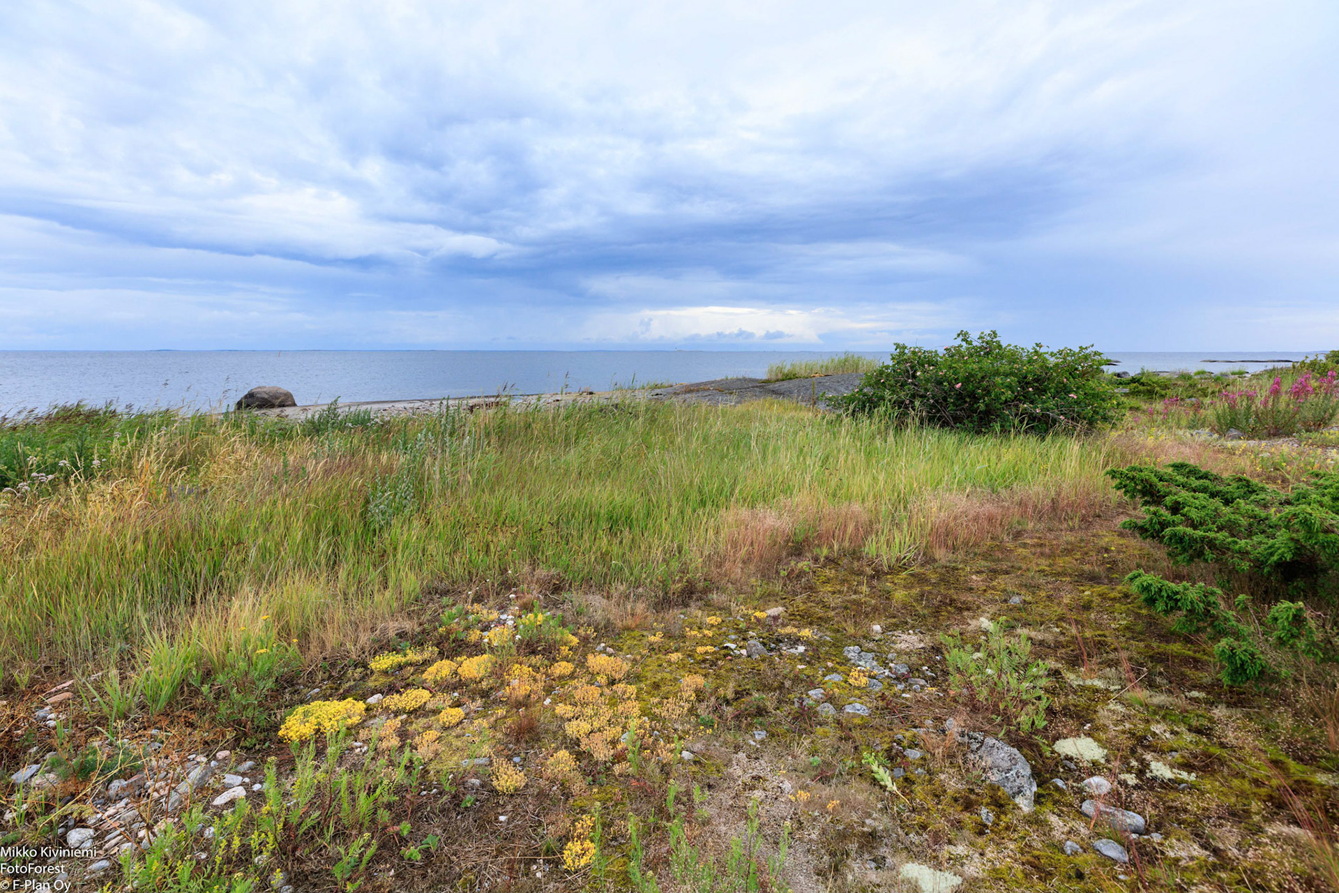 Rantaniitty, Isokari, 1291