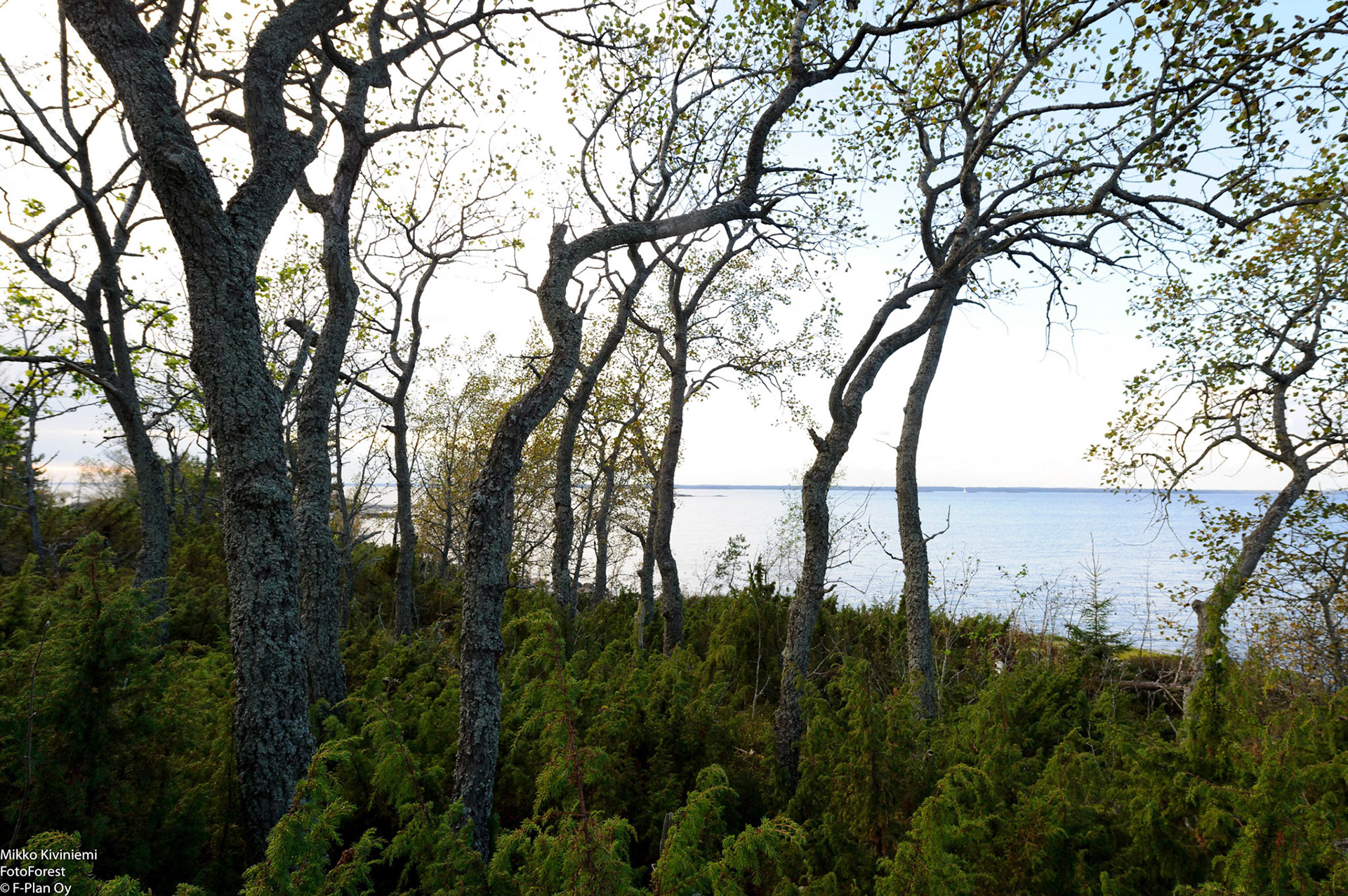 Haapa, Örskär, 756