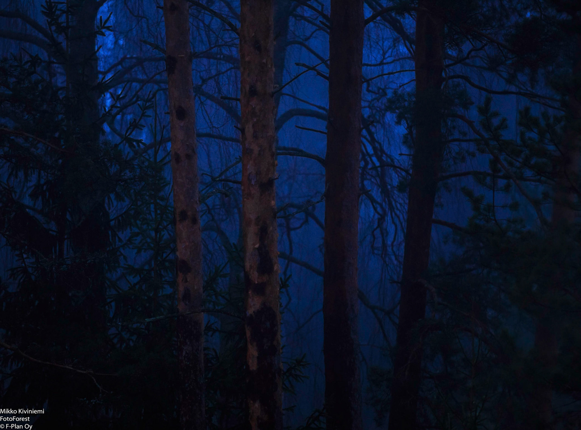 Keväinen iltahämärä, Espoo, 1124