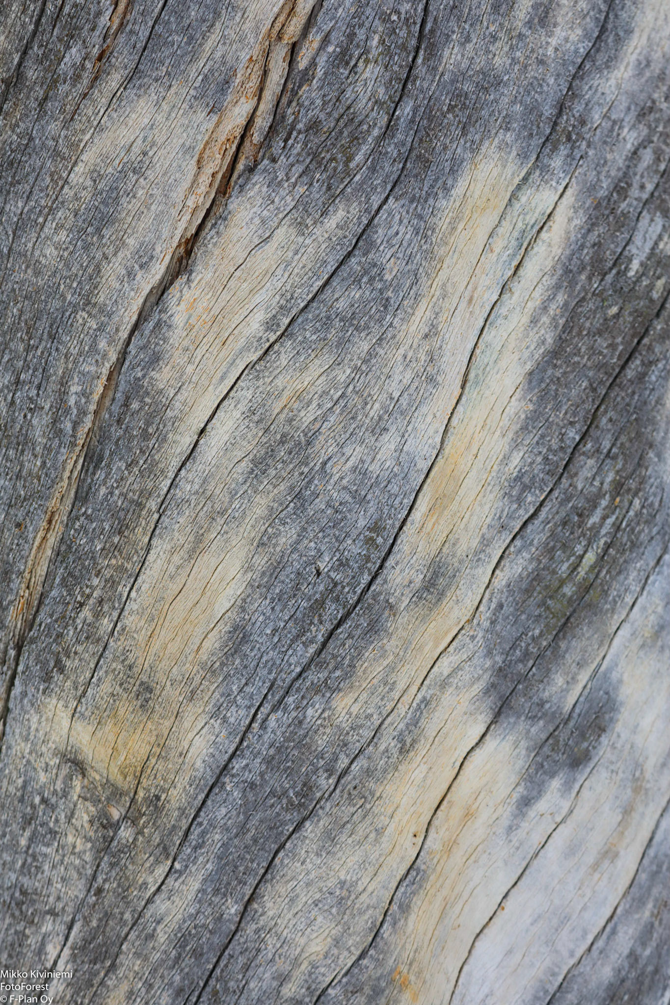 Mäntykelo, Kuusamo 1053