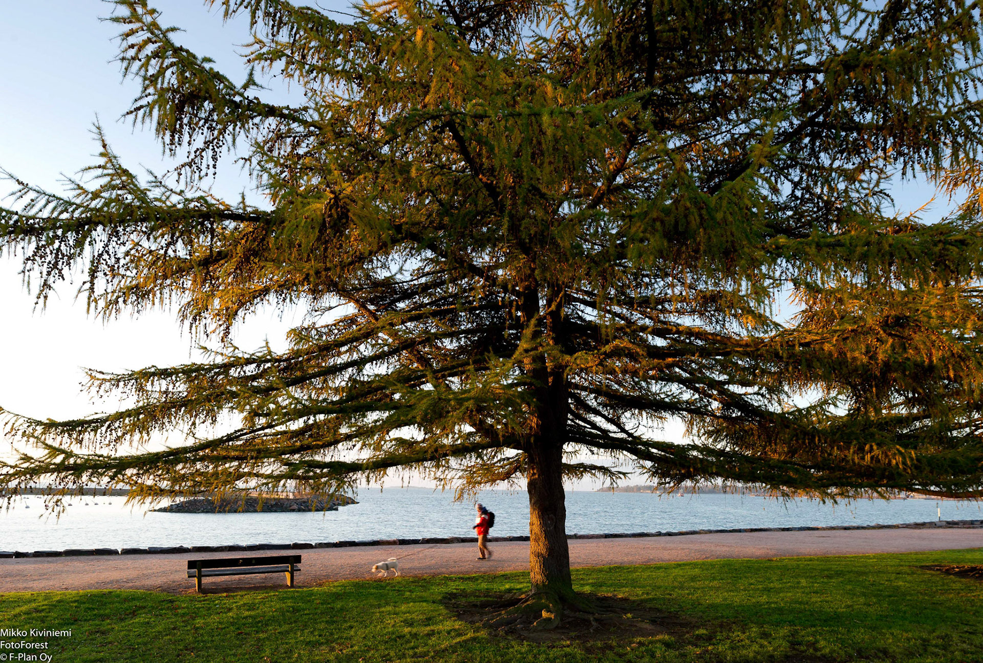 Aamuhetki, Helsinki, 1132