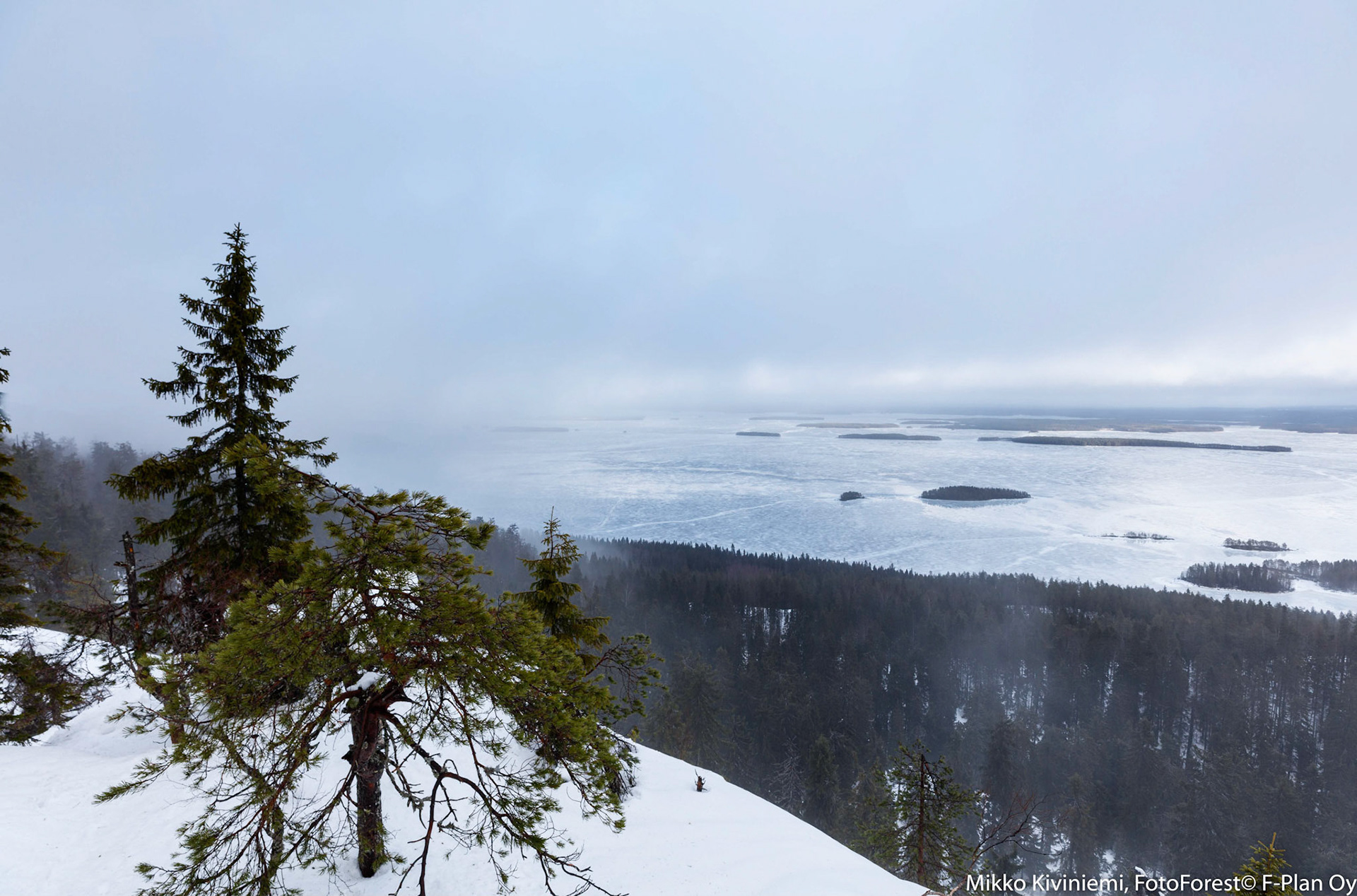 Näkymä Paha-Kolilta Pielisen Purjeselälle, 1219